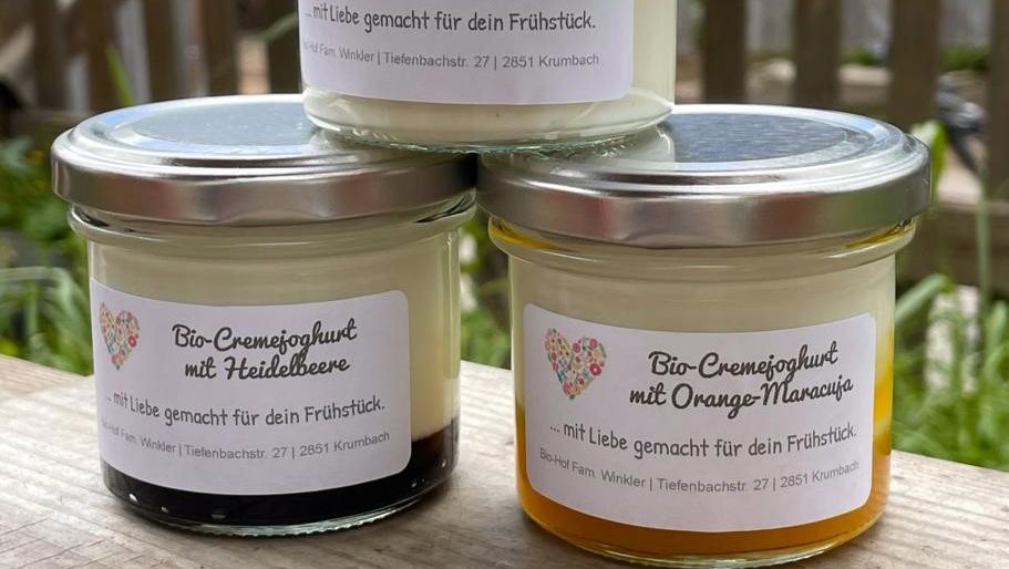 Drei Gläser Bio-Cremejoghurt mit verschiedenen Geschmacksrichtungen auf einem Holztisch.