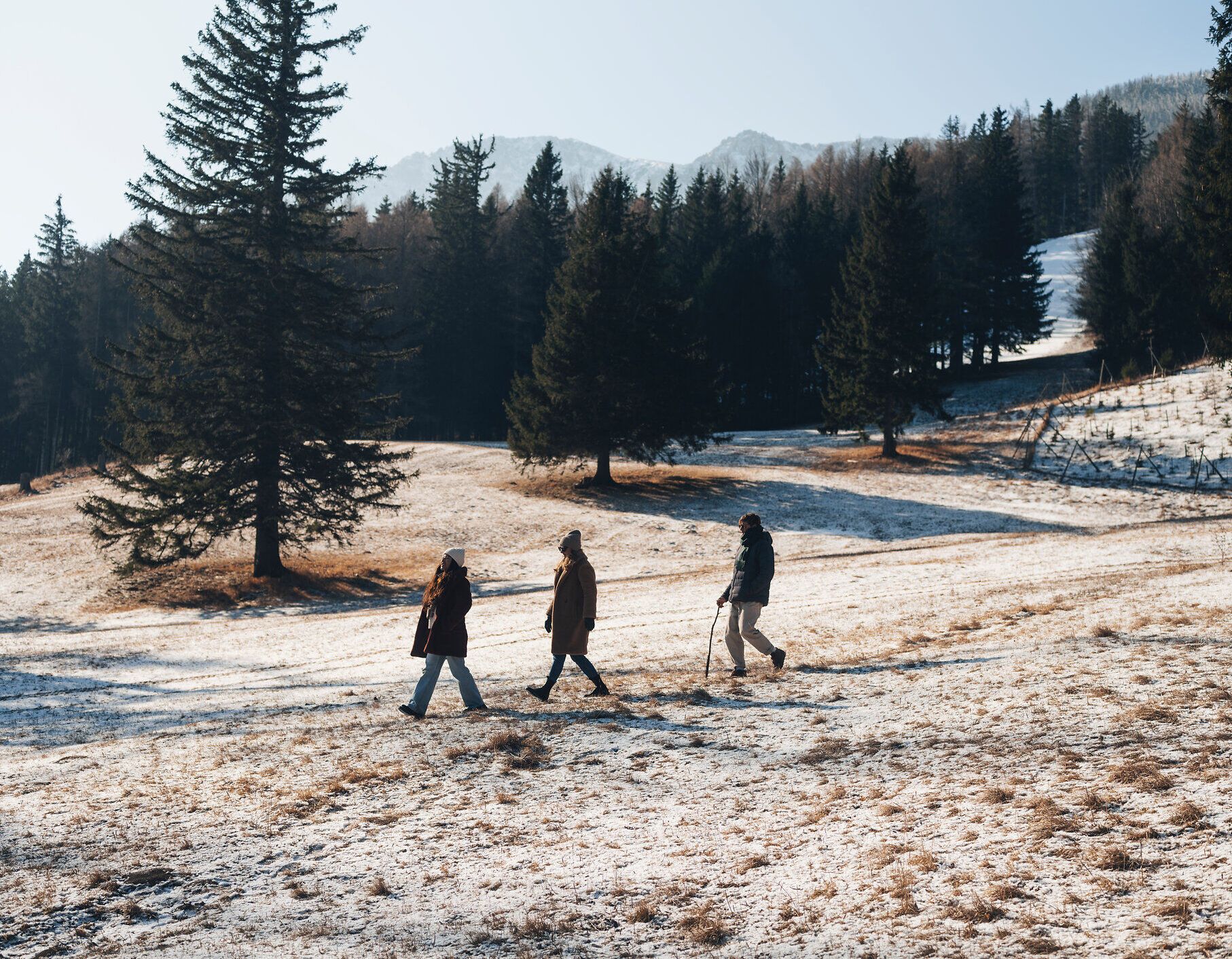 In der winterlichen Landschaft der Wiener Alpen wandern drei Freunde durch eine verschneite Wiese, umgeben von majestätischen Tannen. Die klare Luft und die glitzernde Schneedecke schaffen eine friedliche Atmosphäre, die zum Verweilen einlädt.