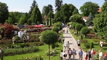 Rosengarten Pitten