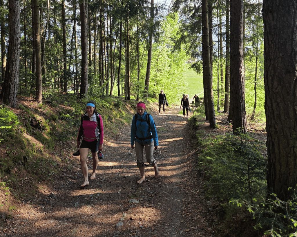 Natur und Bewegung