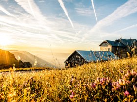 Die sanften H&uuml;gel der Rax erstrahlen im warmen Licht der Morgensonne, w&auml;hrend die Wiesen mit bunten Wildblumen geschm&uuml;ckt sind. Ein Gef&uuml;hl von Freiheit und Abenteuer liegt in der Luft, perfekt f&uuml;r eine Erkundungstour durch die atemberaubende alpine Landschaft.