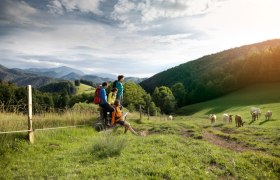 Wandern im Piestingtal, © Wiener Alpen/Florian Lierzer