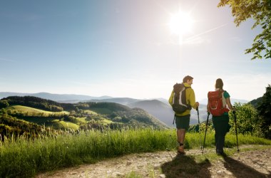 Wandern in den Wiener Alpen, &copy; Wiener Alpen/Florian Lierzer