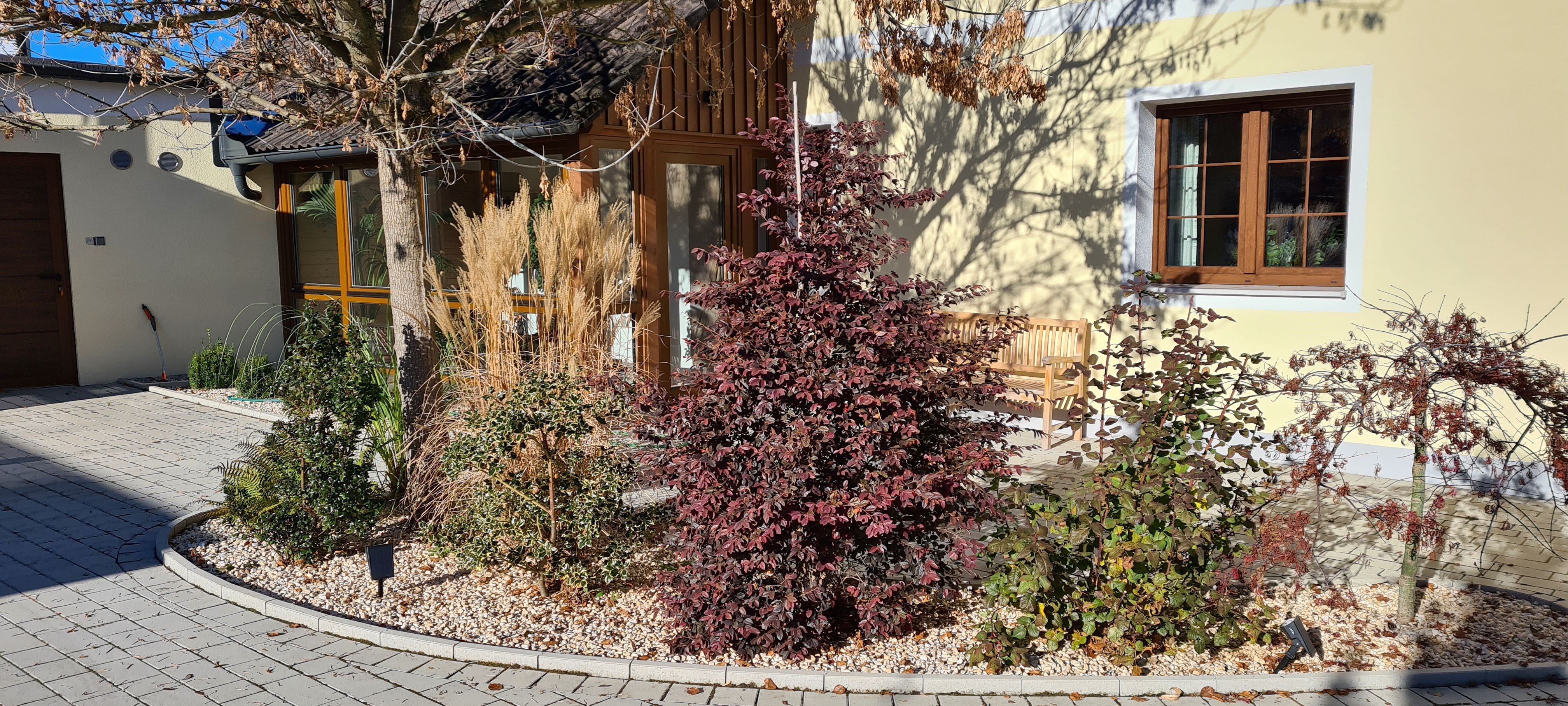 Gartenansicht eines Ferienhauses mit Pflanzen und Bäumen vor gelber Fassade.