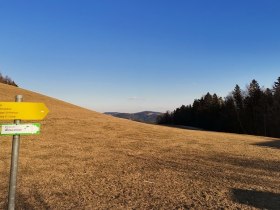 Gabelung bei der Passkapelle Richtung Außeraigen, © Wiener Alpen in Niederösterreich - Wechsel