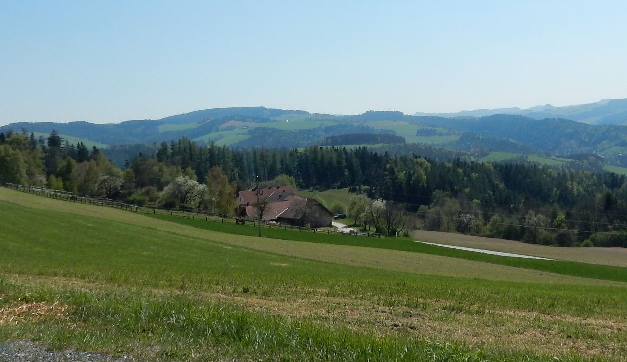 Hiking in Edlitz | Bucklige Welt