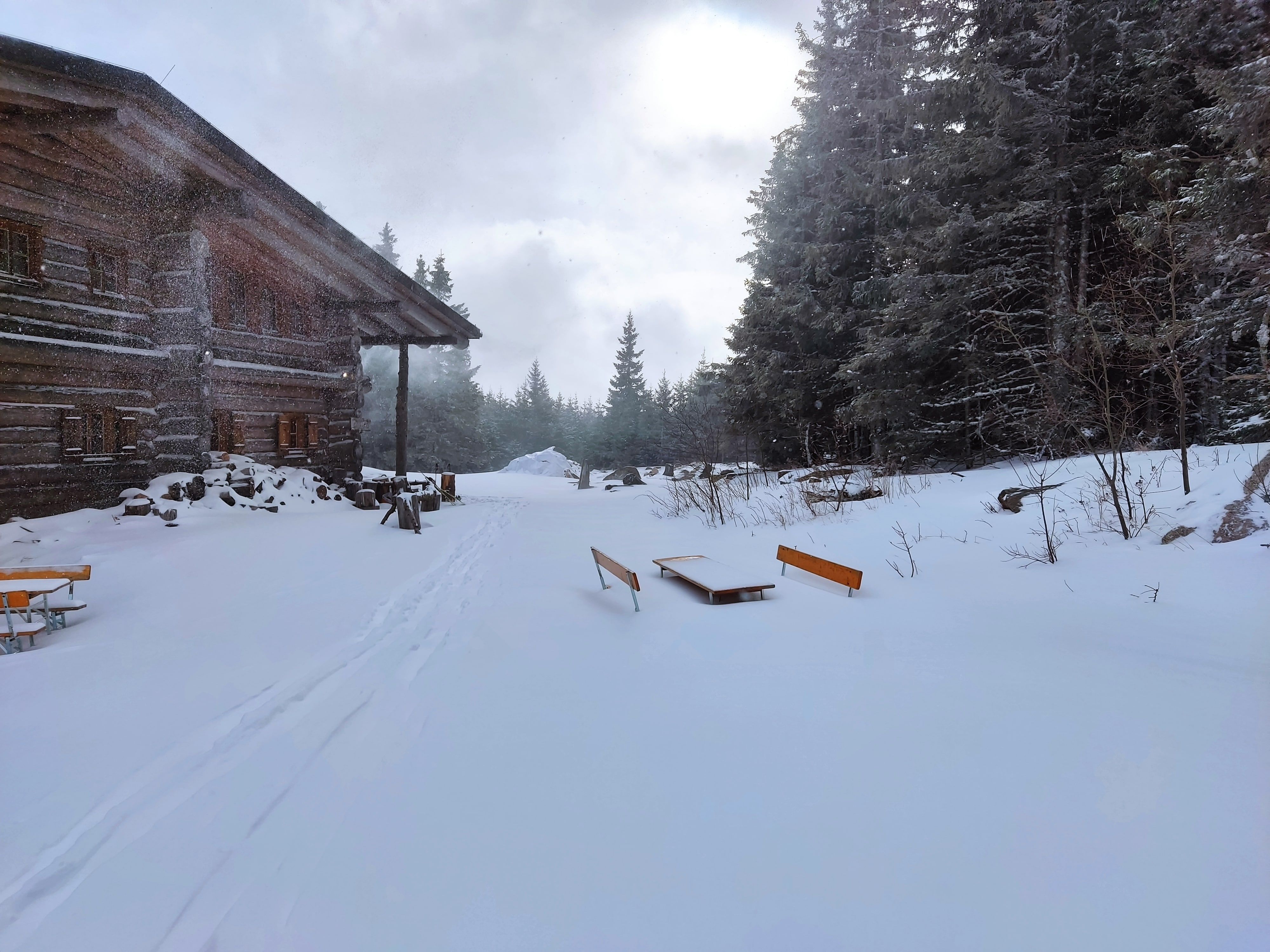 Verschneite Alm mit Holzhütte und Bänken im Winterwald.