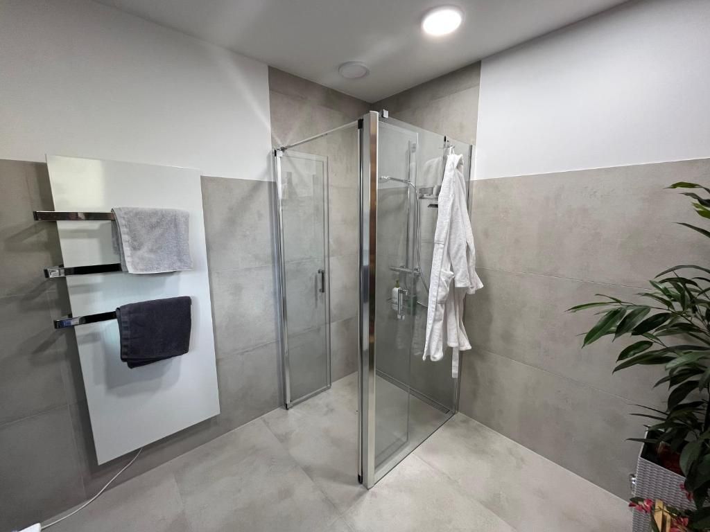 Large bathroom with gray tiles, walk-in shower, towel rail and plant