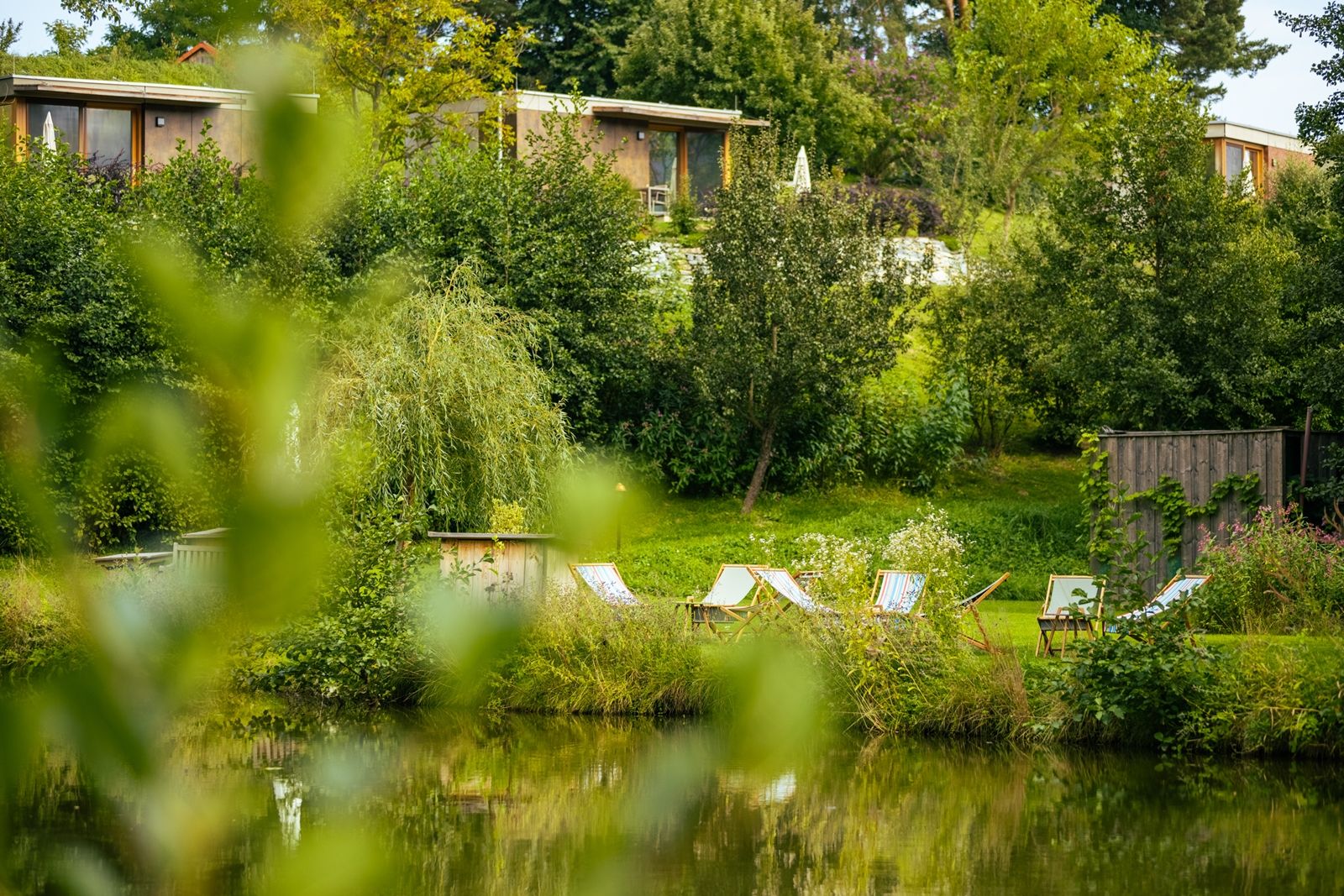 Ein ruhiger Garten mit Liegestühlen am Teich, umgeben von Bäumen und grüner Vegetation.