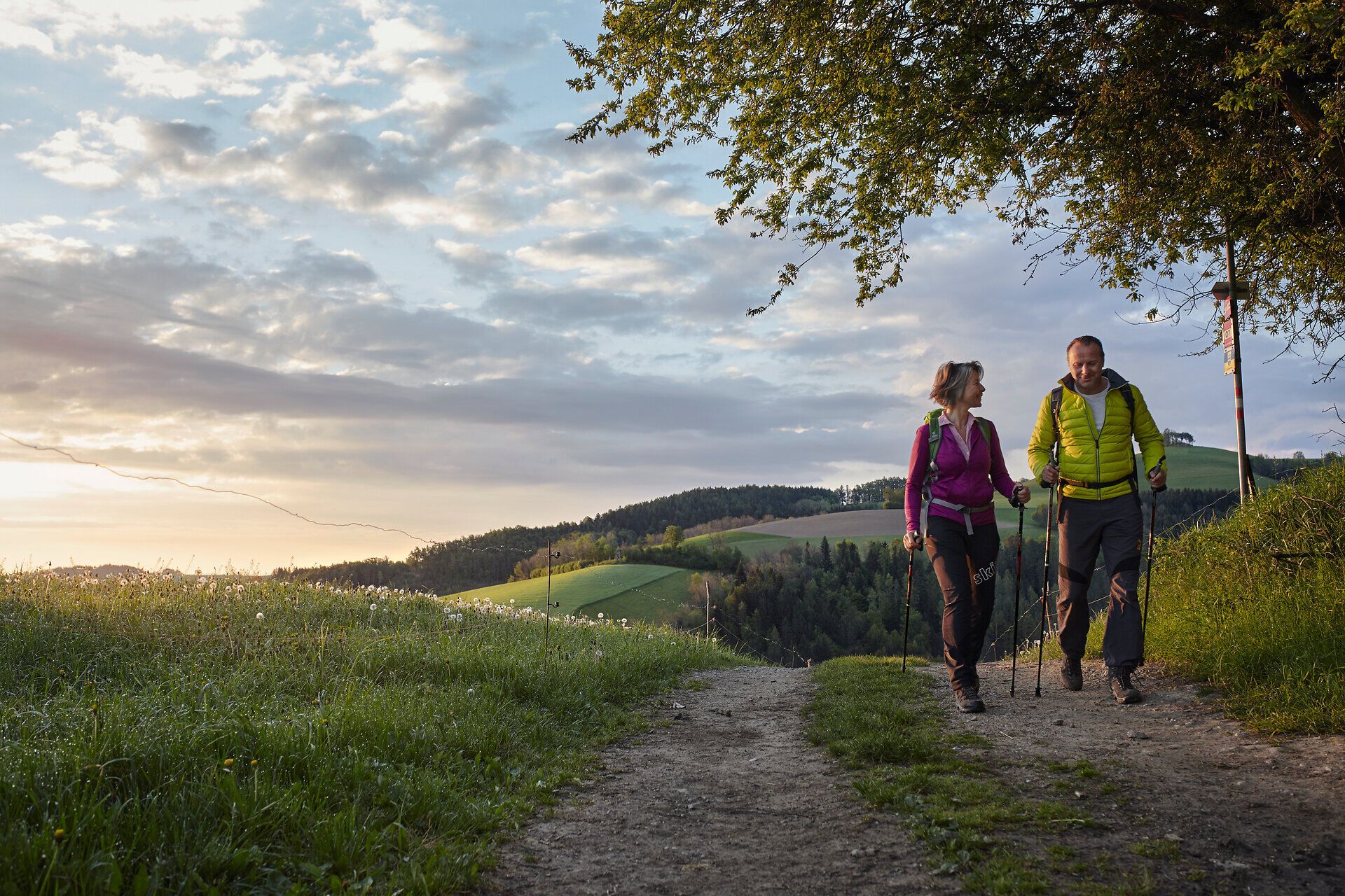 Eine Frau und ein Mann wandern über die sanften Hügel bei Bad Schönau in der Buckligen Welt.