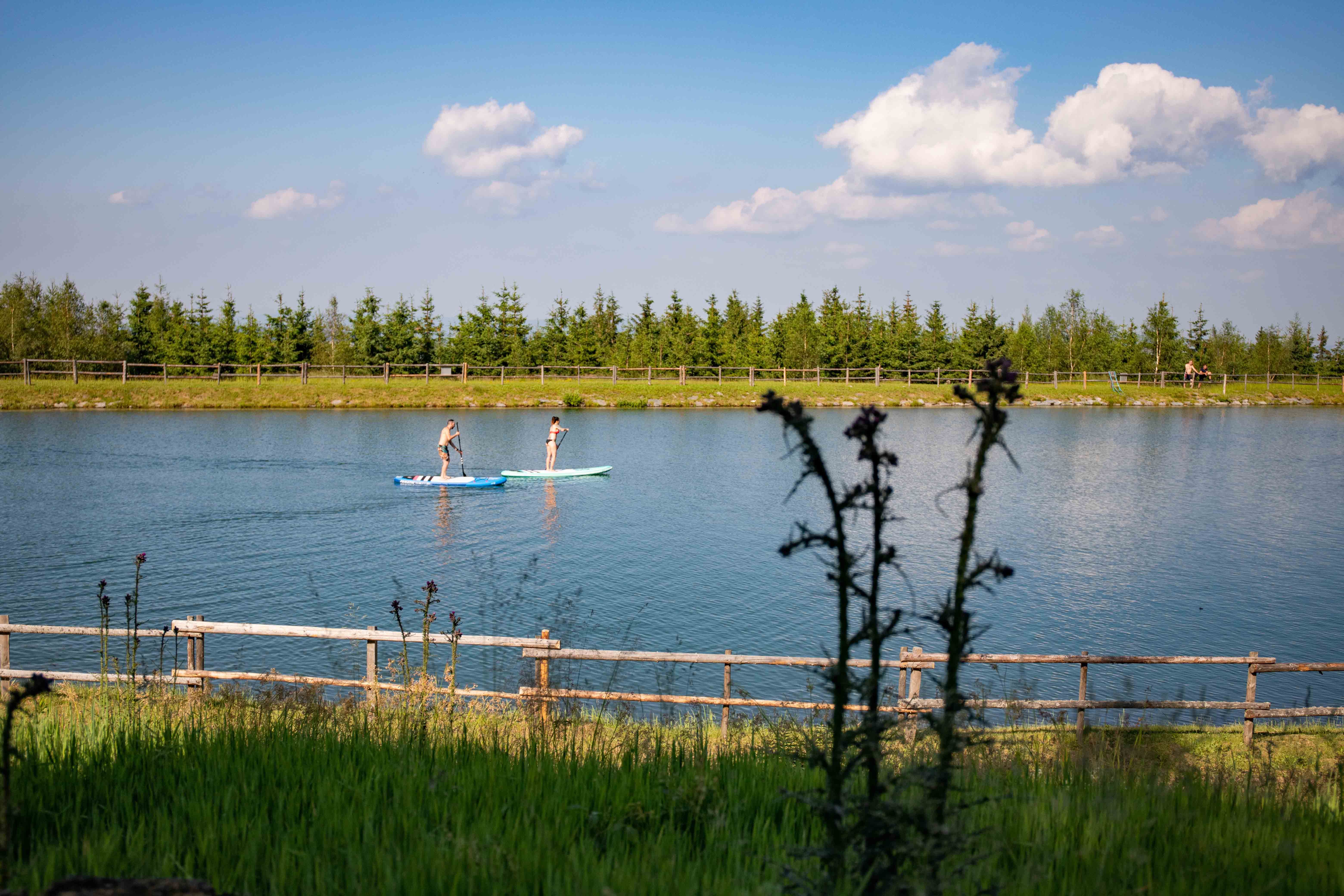Zwei Personen beim Stand-Up-Paddling auf einem Teich, umgeben von Bäumen und einem Holzzaun.