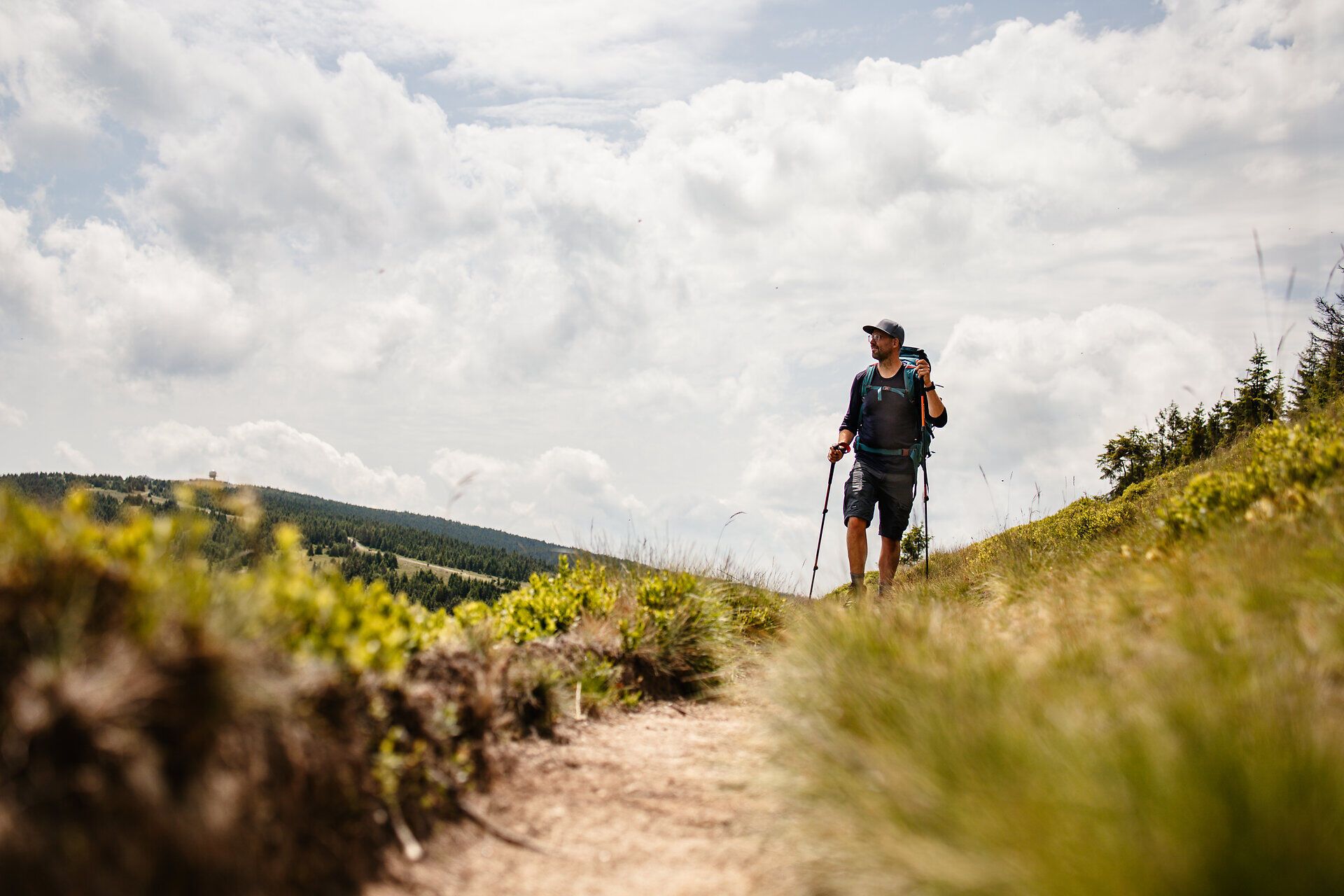 Ein Wanderer genießt die frische Bergluft und die atemberaubende Aussicht auf die sanften Hügel und dichten Wälder. Die Sonne bricht durch die Wolken und taucht die Landschaft in ein warmes Licht, während der Pfad sanft in die Ferne führt. Hier, in der Natur, findet man Ruhe und Inspiration.