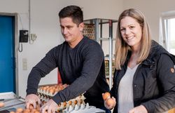 Ein Mann und eine Frau verpacken Hühnereier in Eierkartons ein einem Verpackungsraum.