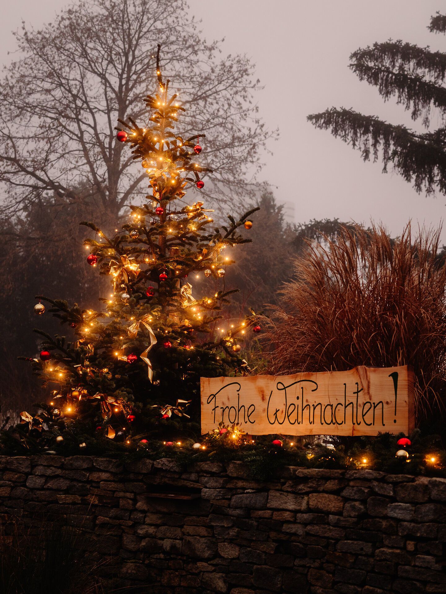 Weihnachtsbeleuchtung Stadtpark - (c) Busy Shutters_5885
