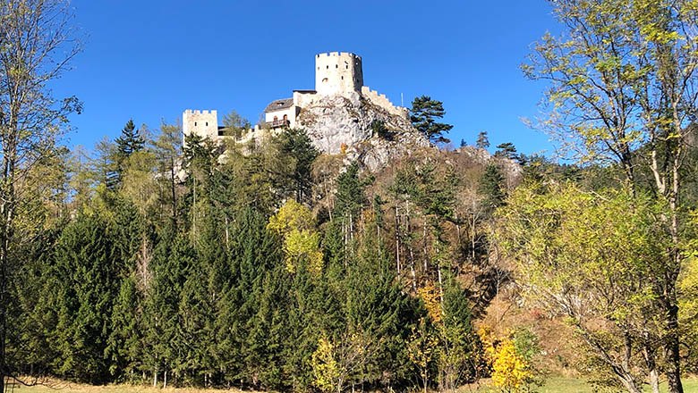 Ruine Losenheim auf einem Hügel mit Bäumen im Vordergrund.