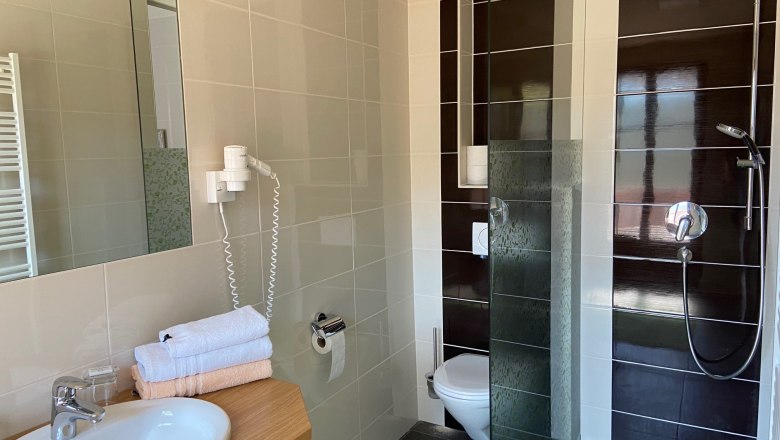 Modern bathroom with washbasin, mirror, towels, toilet and shower.