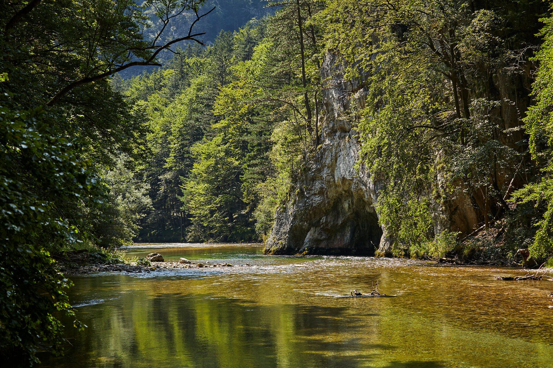 Die Schwarza im Höllental