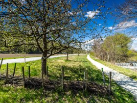 Ein Wanderweg in Bad Erlach mit bl&uuml;henden B&auml;umen und einem kleinen Bach.