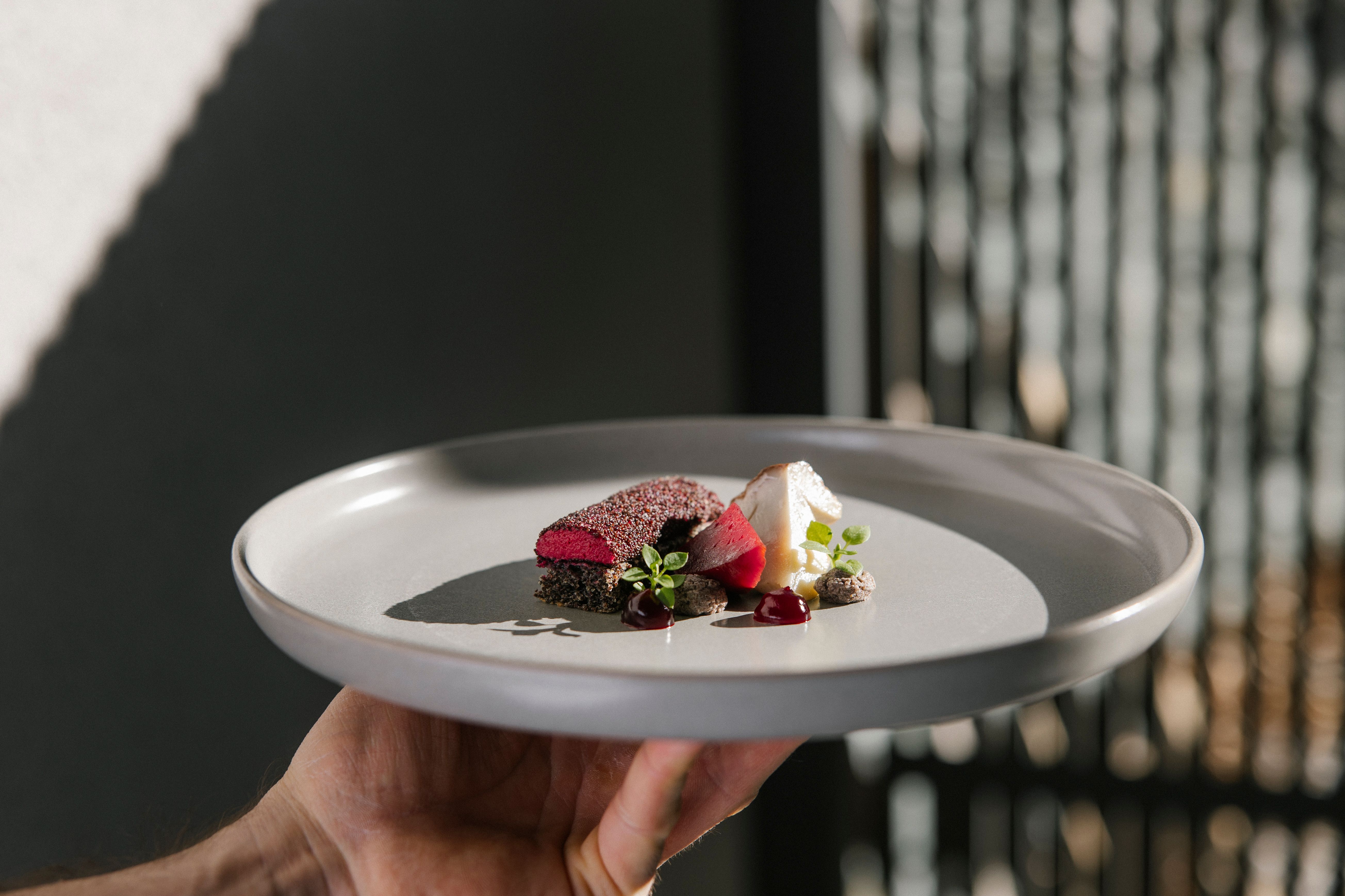 Eine Hand hält ein Teller mit einem Gourmetgericht mit Fleisch, Pilzen, Soße und Kräutern garniert.