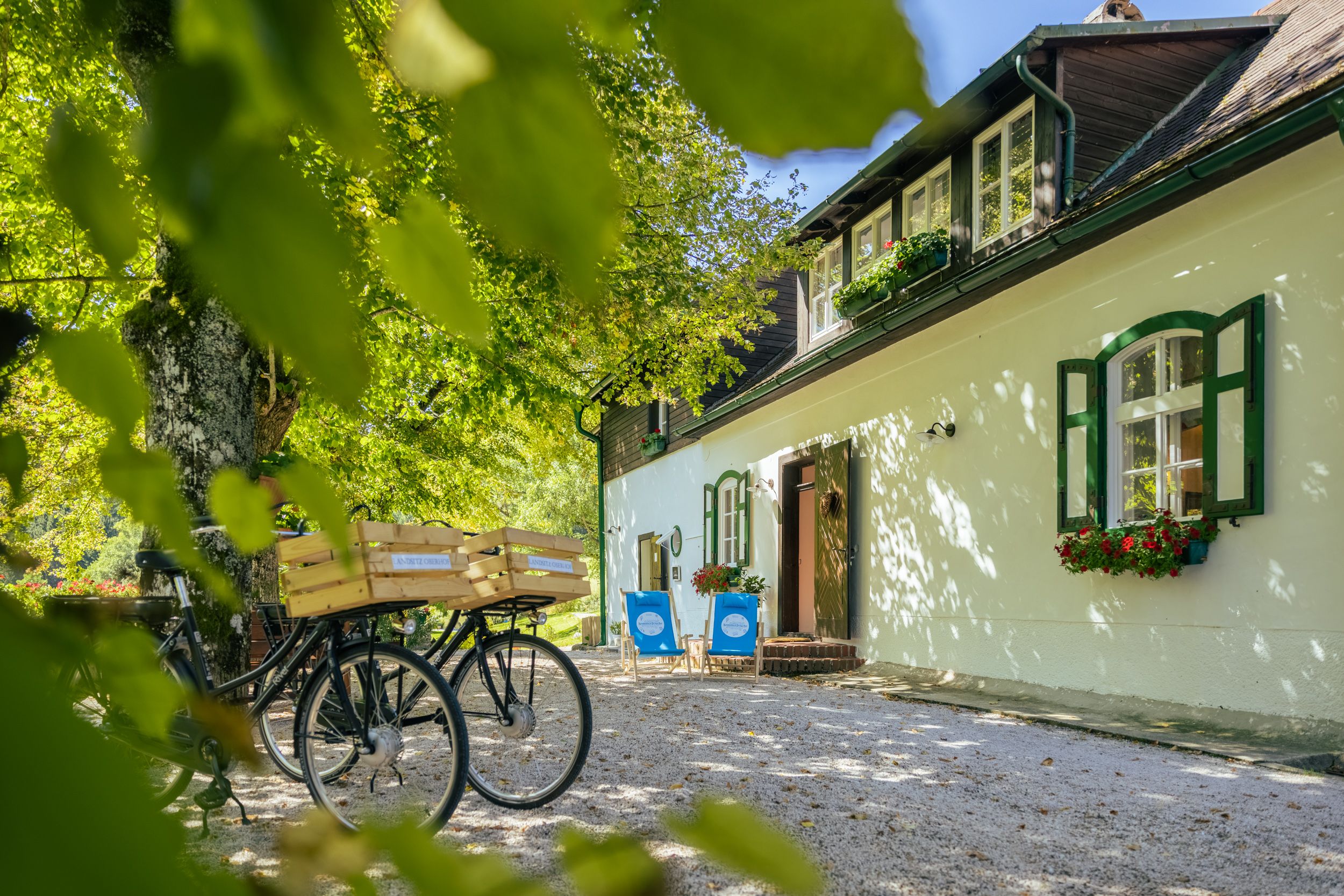 Ein idyllisches Landhaus mit grünen Fensterläden, Fahrrädern und Liegestühlen im Garten, umgeben von Bäumen.