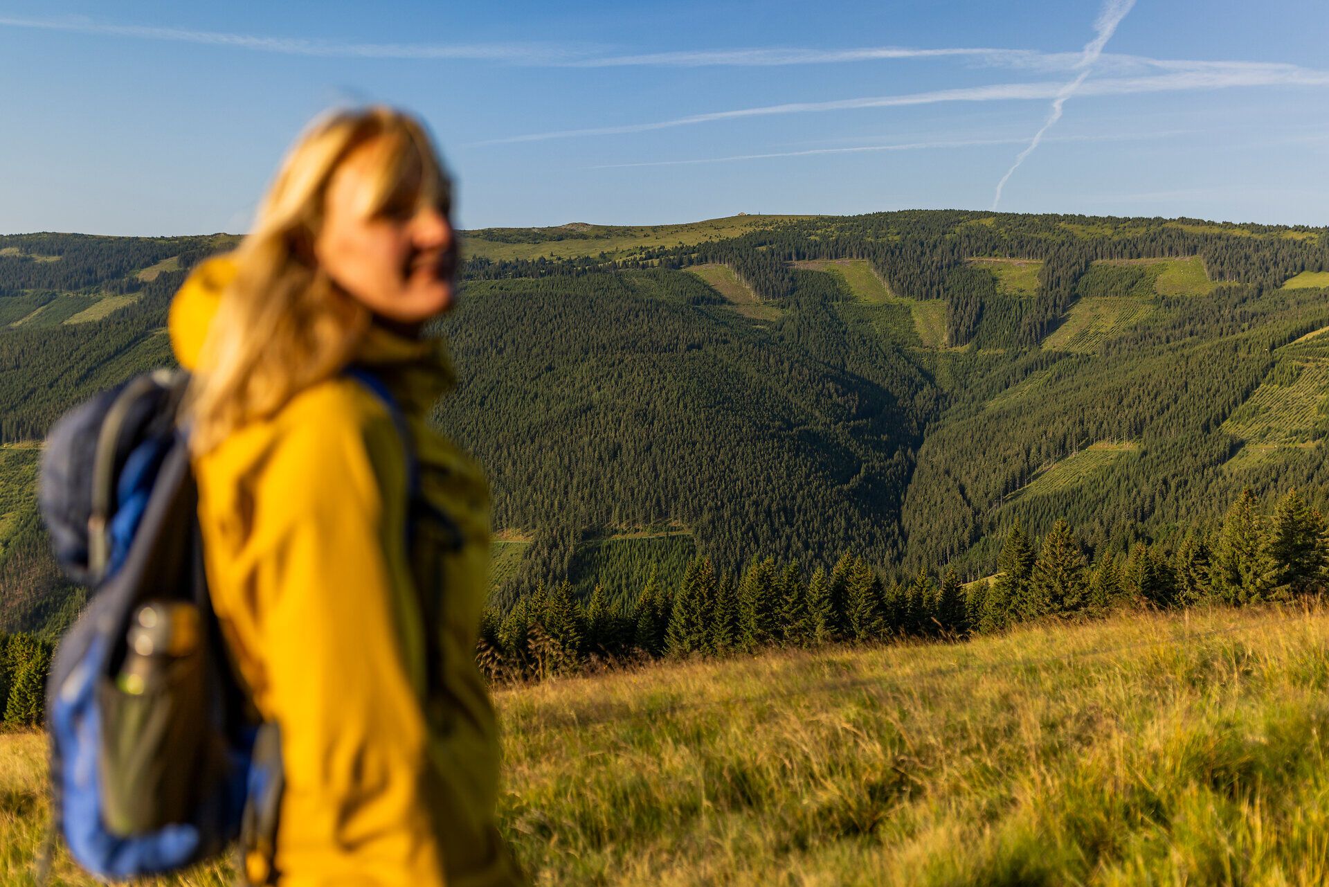 Wanderin mit Rucksack in Unschärfe vor einer weitläufigen, bewaldeten Berglandschaft.