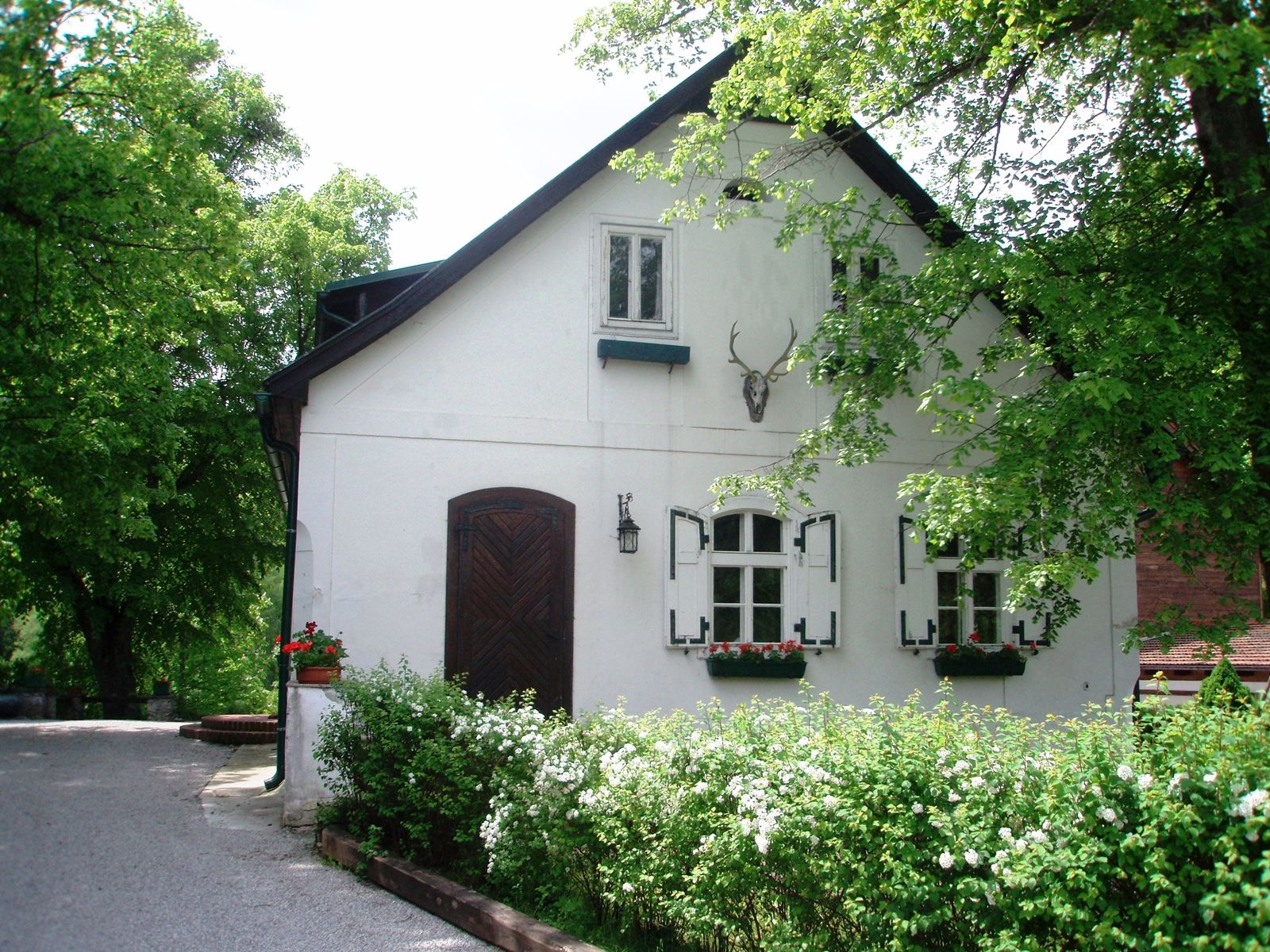 Ein weißes Landhaus mit grünen Fensterläden und einem Hirschgeweih an der Fassade, umgeben von Bäumen und Sträuchern.