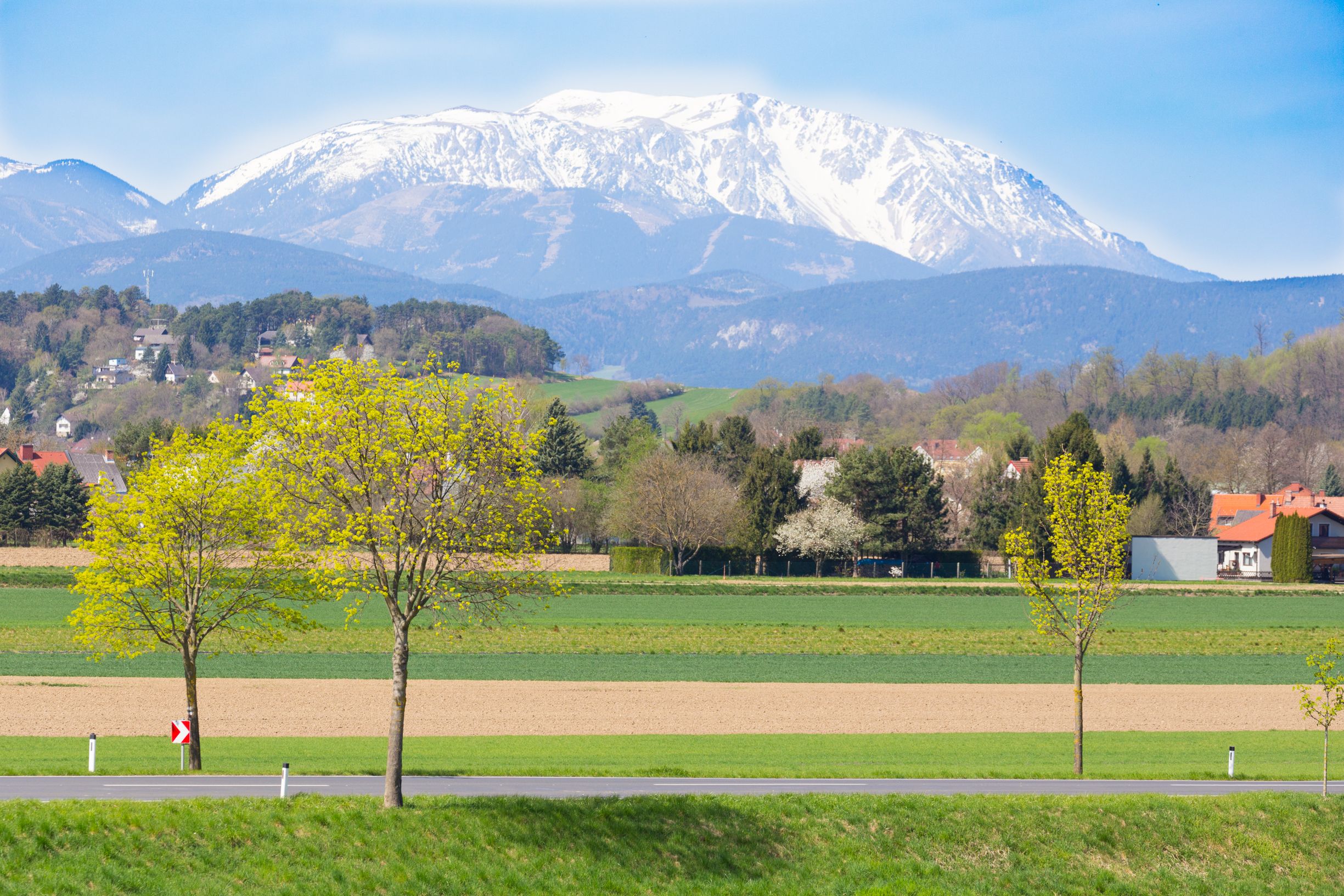 Landschaft mit schneebedecktem Berg im Hintergrund und grünen Feldern im Vordergrund.