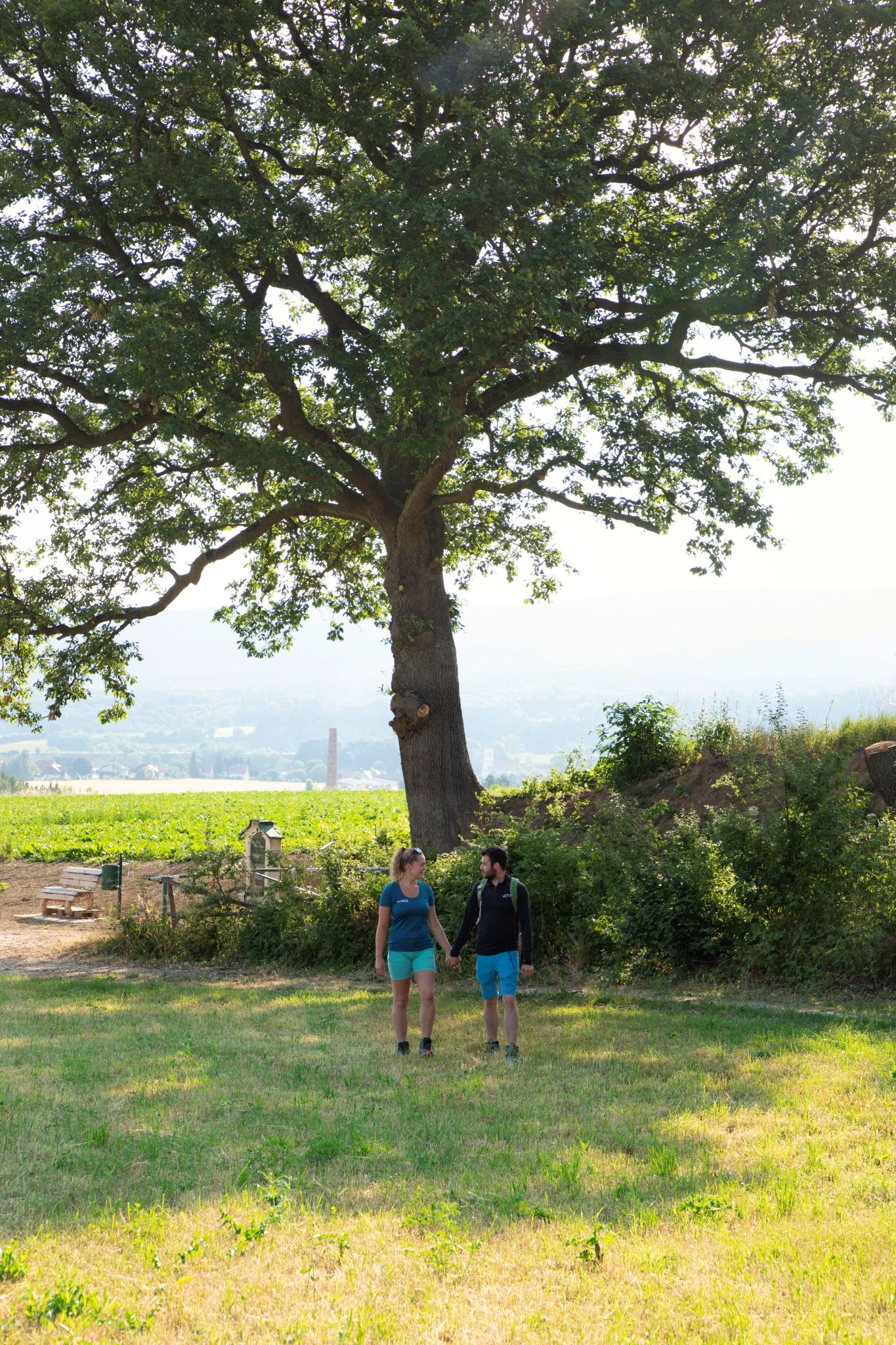 Ein Paar spaziert auf einer Wiese unter einem großen Baum in einer ländlichen Umgebung.