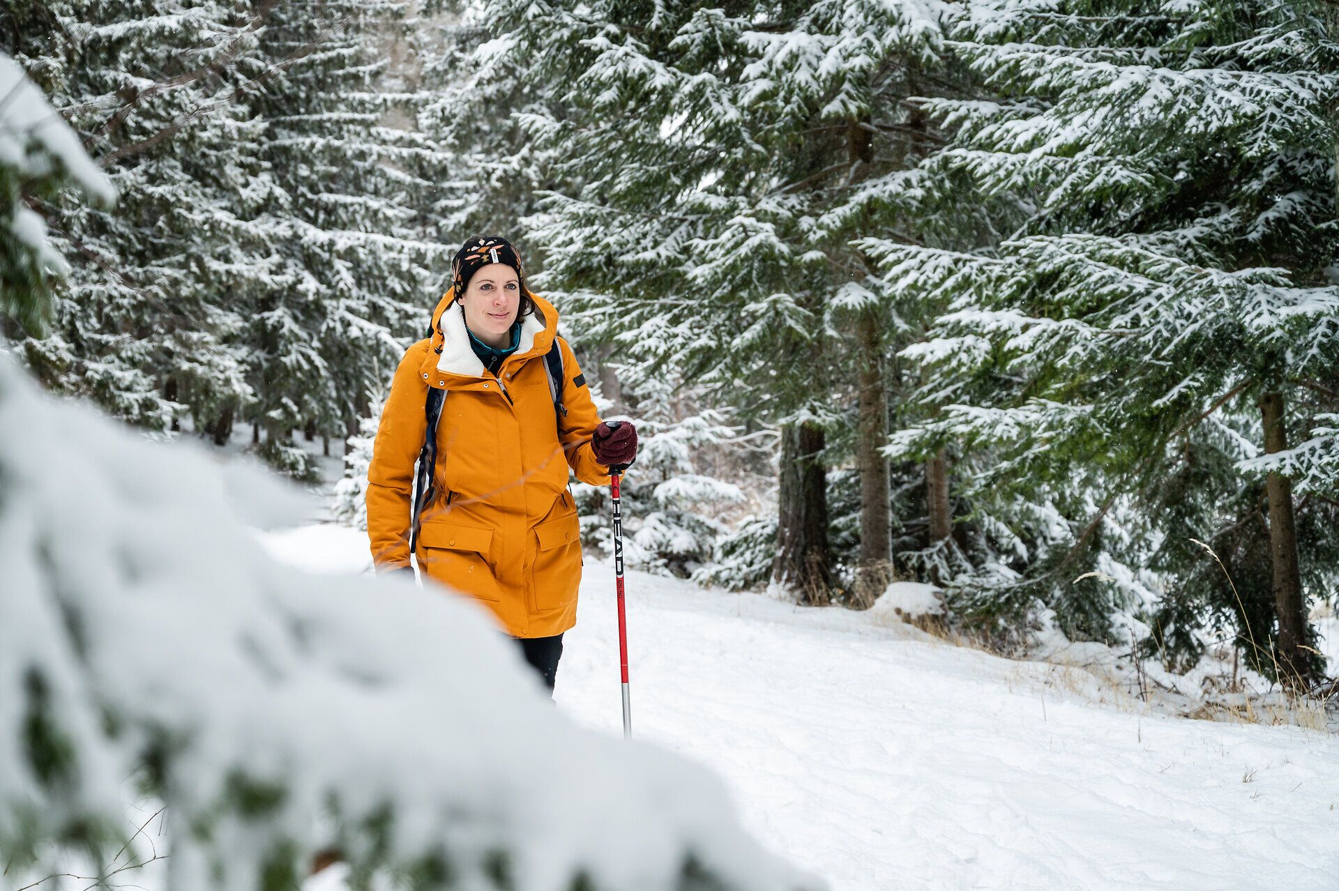Inmitten der verschneiten Landschaft der Buckligen Welt wandert ein Abenteurer mit Schneeschuhen durch den glitzernden Schnee. Die majestätischen Fichten umrahmen den Weg und schaffen eine friedliche, winterliche Atmosphäre, die zum Verweilen einlädt.