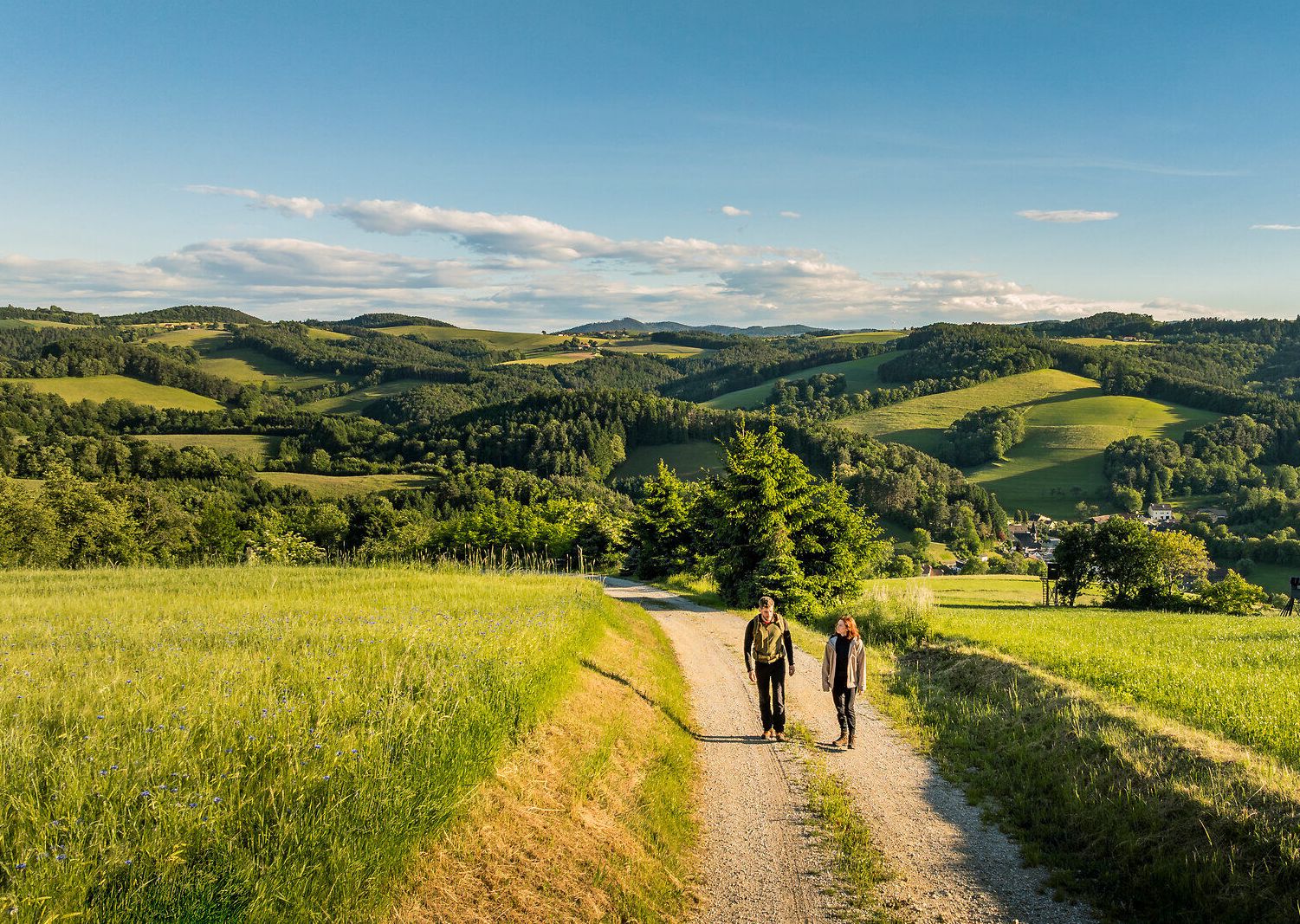 Ein Frau und ein Mann gehen am Rosalia Rundwanderweg entlang.