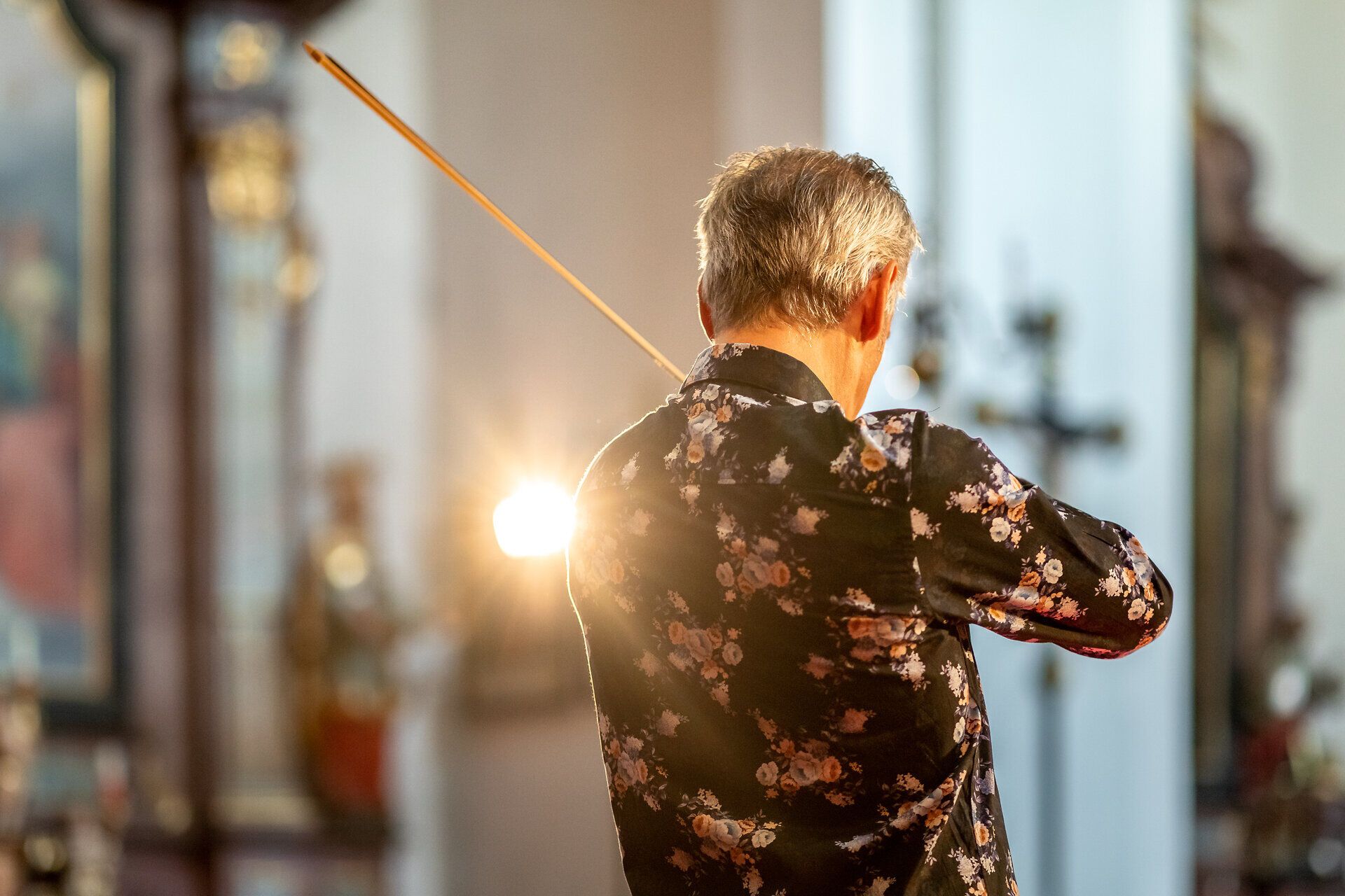 Ein Musiker von hinten beim Konzert der Pitten Classics
