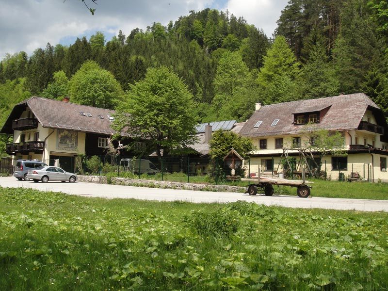 Zwei traditionelle Häuser am Waldrand mit Wiese im Vordergrund.