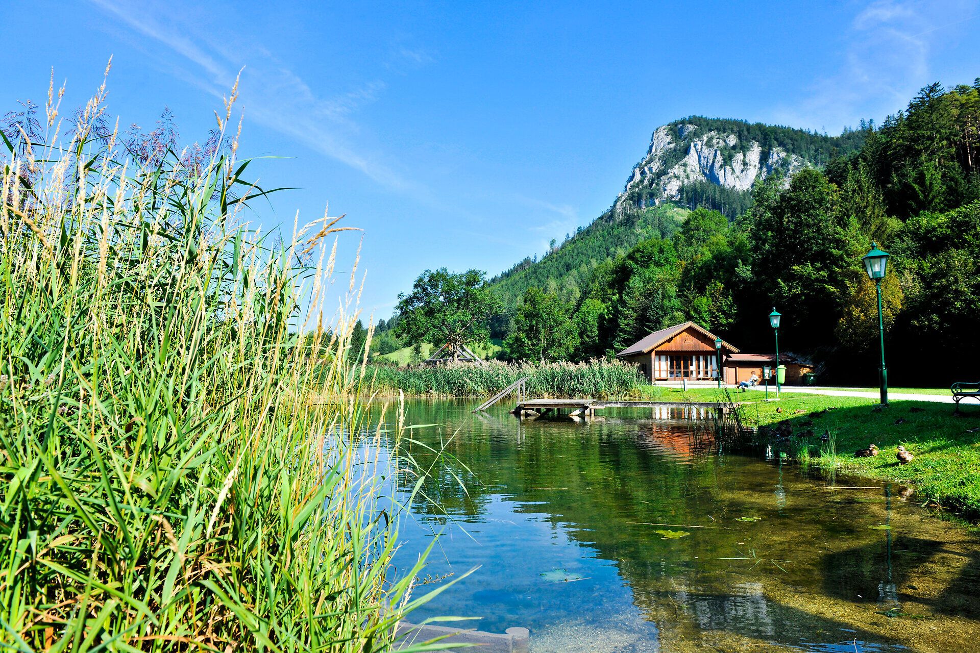 Sommer im Naturpark Falkenstein, Schwarzau im Gebirge