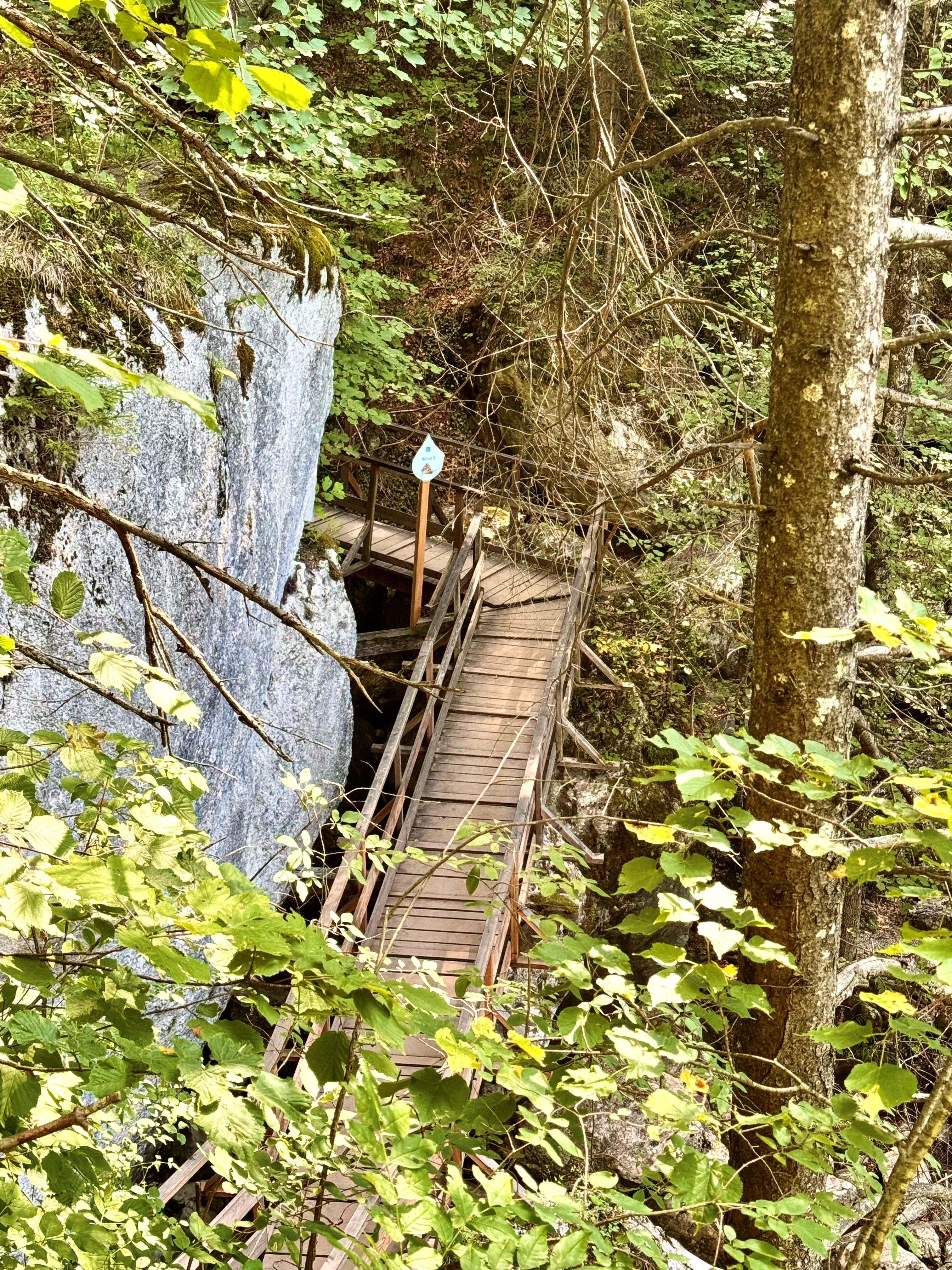 Holzbrücke in einem bewaldeten Gebiet mit Felsen und Laub.