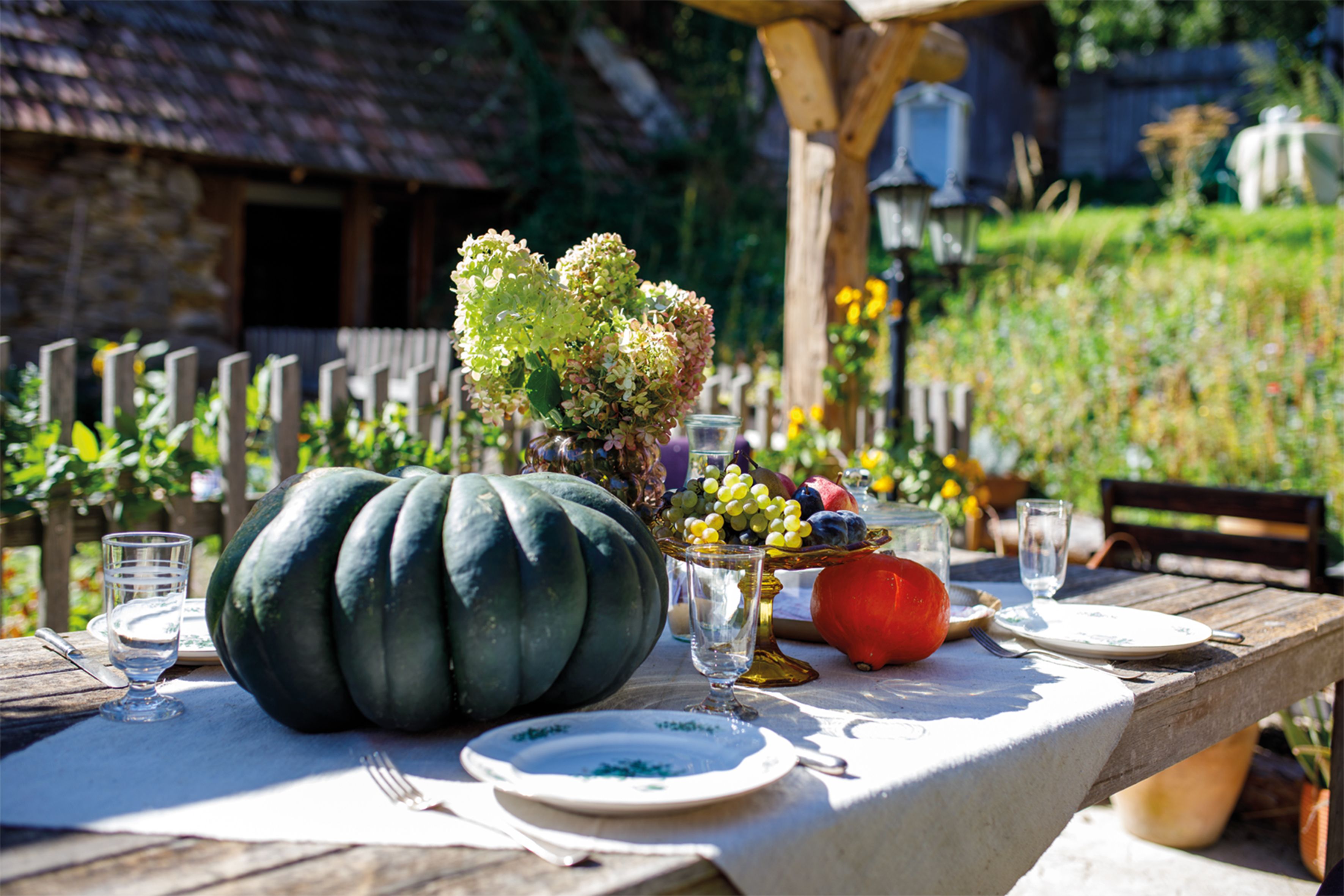 Ein rustikaler Holztisch im Freien, gedeckt mit einem großen Kürbis, Trauben, Blumen und Geschirr.