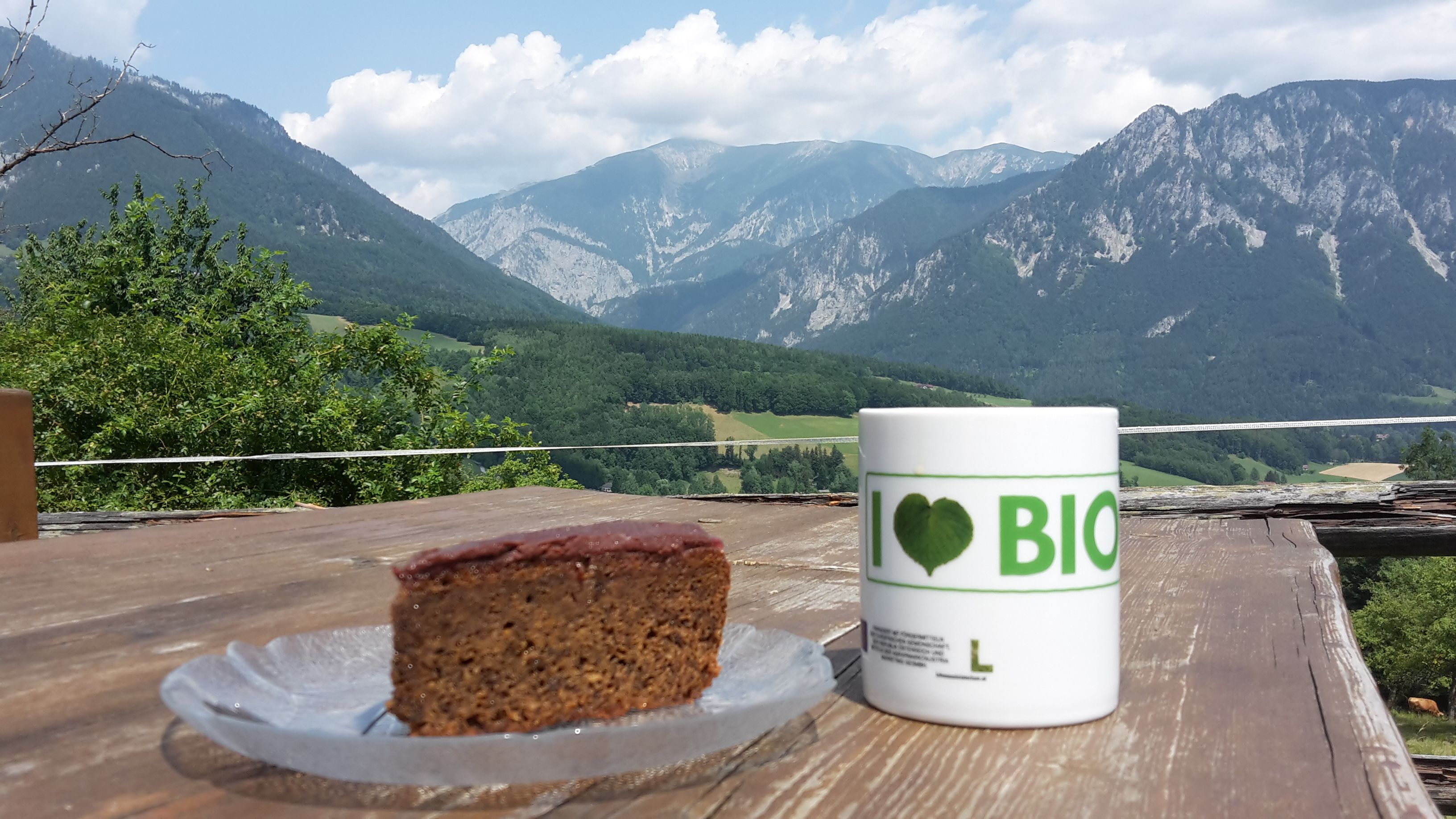 Ein Stück Kuchen und eine Tasse mit der Aufschrift 'I love BIO' auf einem Holztisch vor einer Berglandschaft.