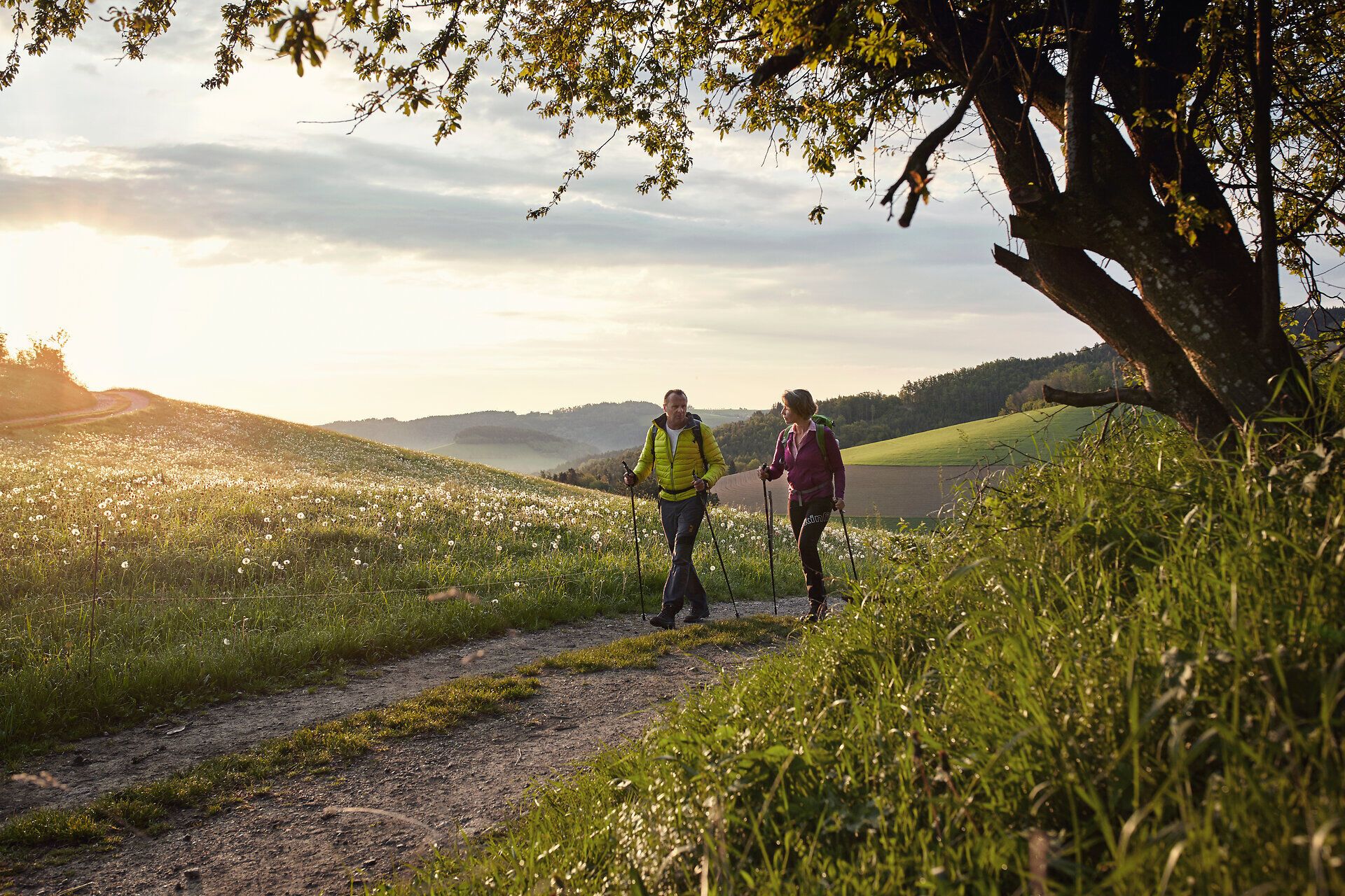Eine Frau und ein Mann wandern über die sanften Hügel bei Bad Schönau in der Buckligen Welt.