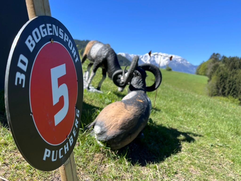 3D-Bogensport-Parcours mit Zielscheibe Nummer 5 im Vordergrund, dahinter Tierattrappen auf einer Wiese vor Bergen.
