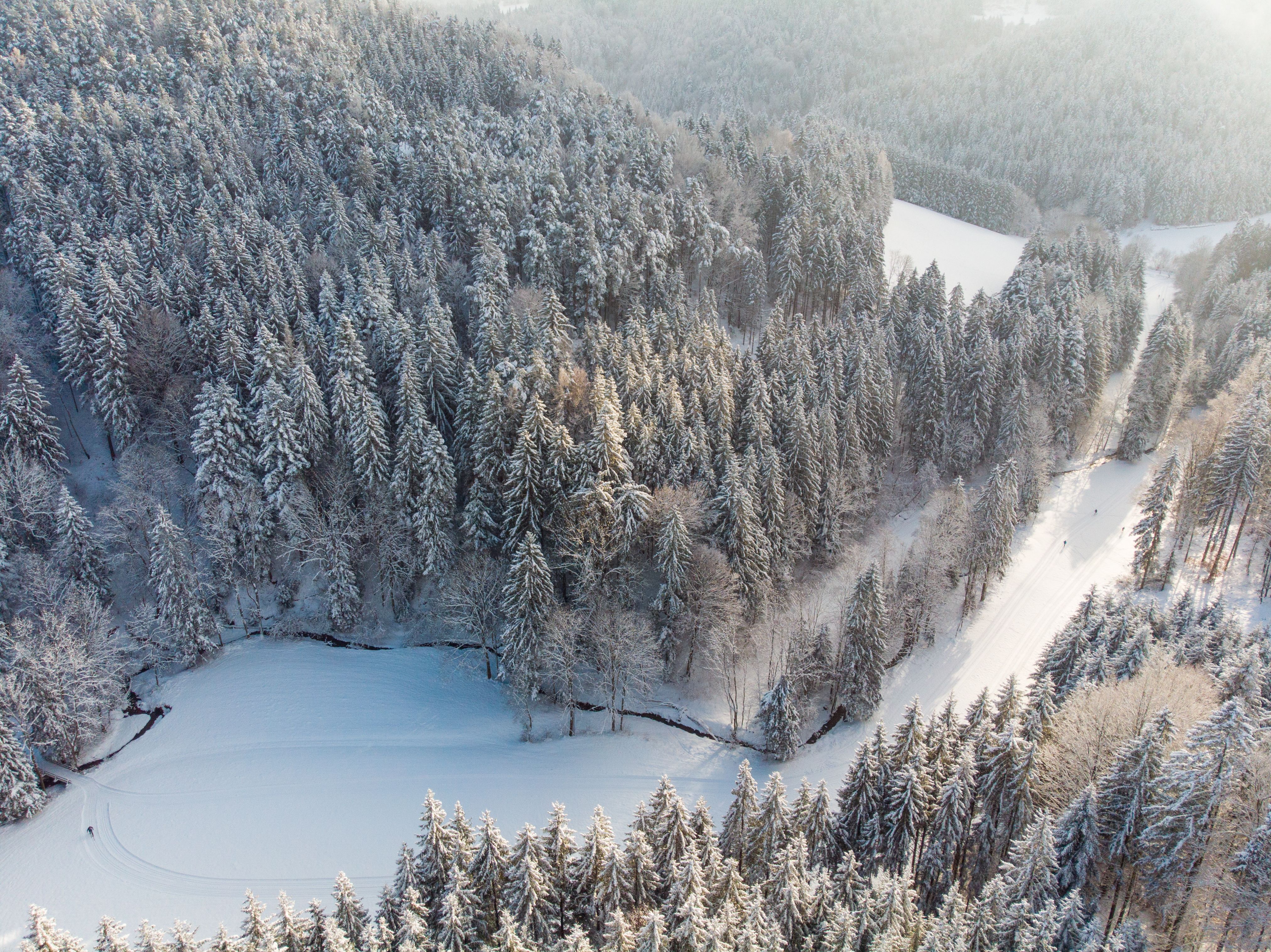 Luftaufnahme einer Winterlandschaft mit viel Schnee, Wald und einem Bach