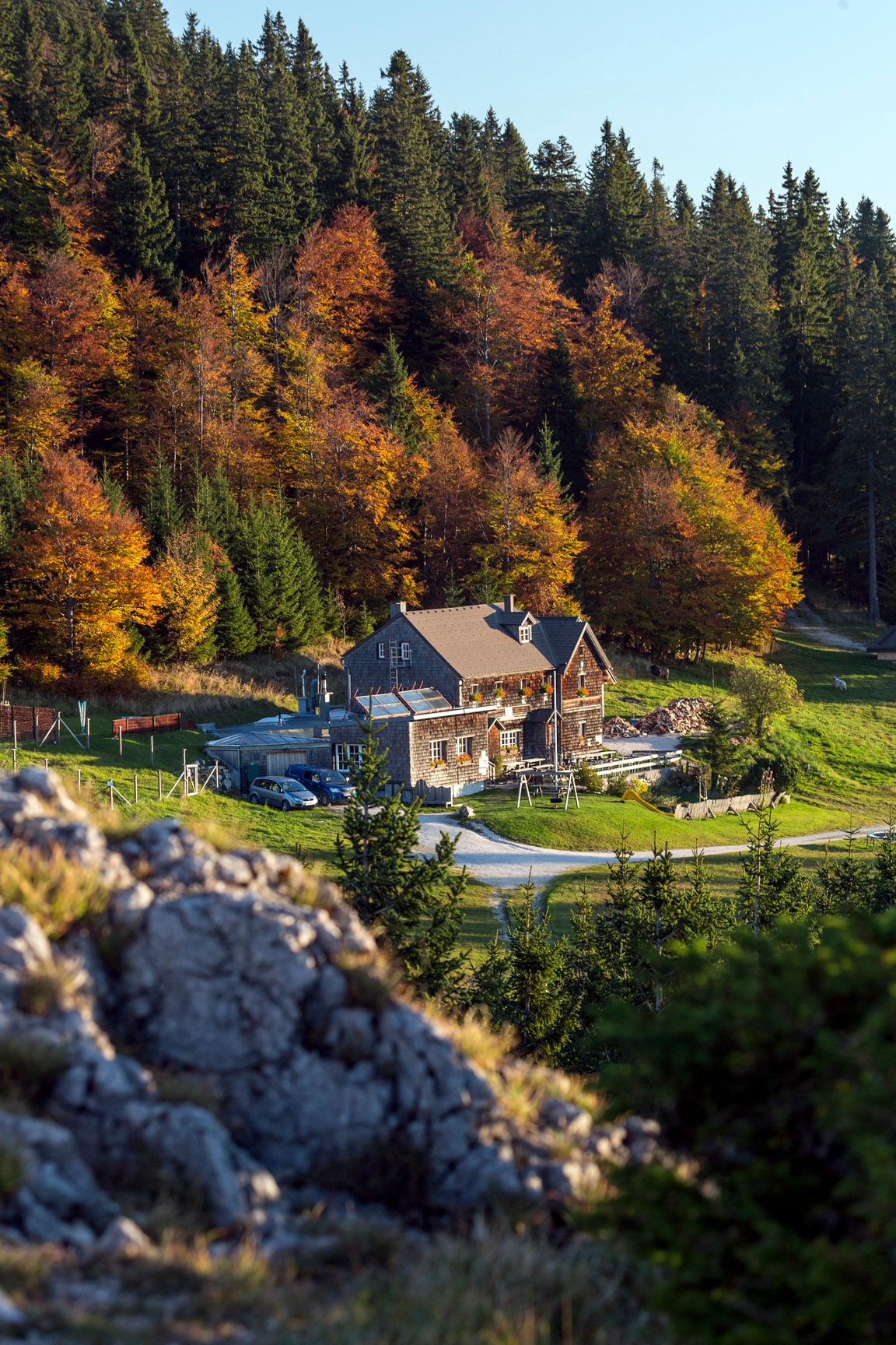 An autumnal mountain landscape on the Unterberg, featuring a forest, an alpine hut, and meadows bathed in sunlight.