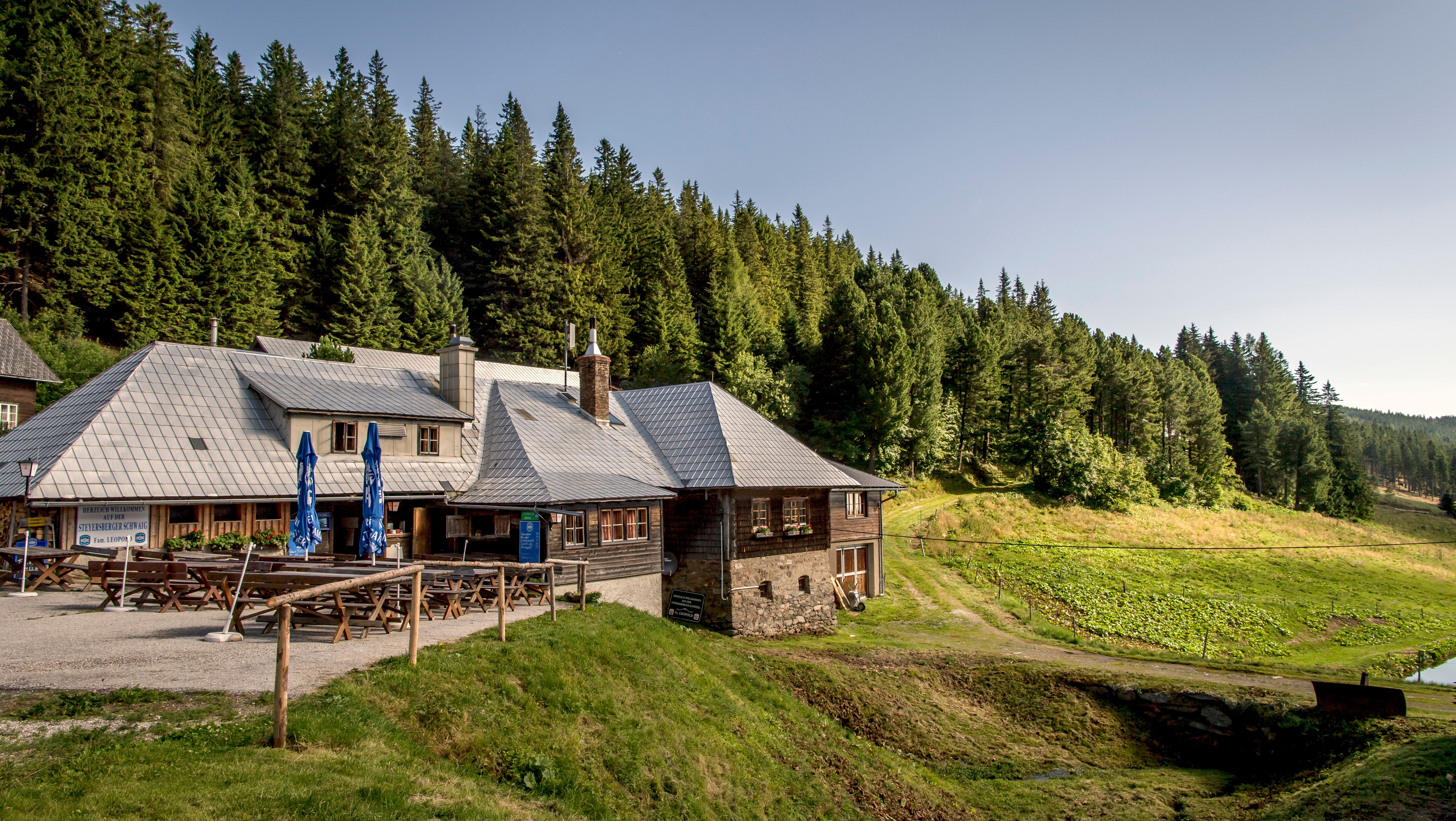 Ein traditionelles Gasthaus in einer grünen Waldlandschaft mit blauen Sonnenschirmen und Holztischen im Freien.