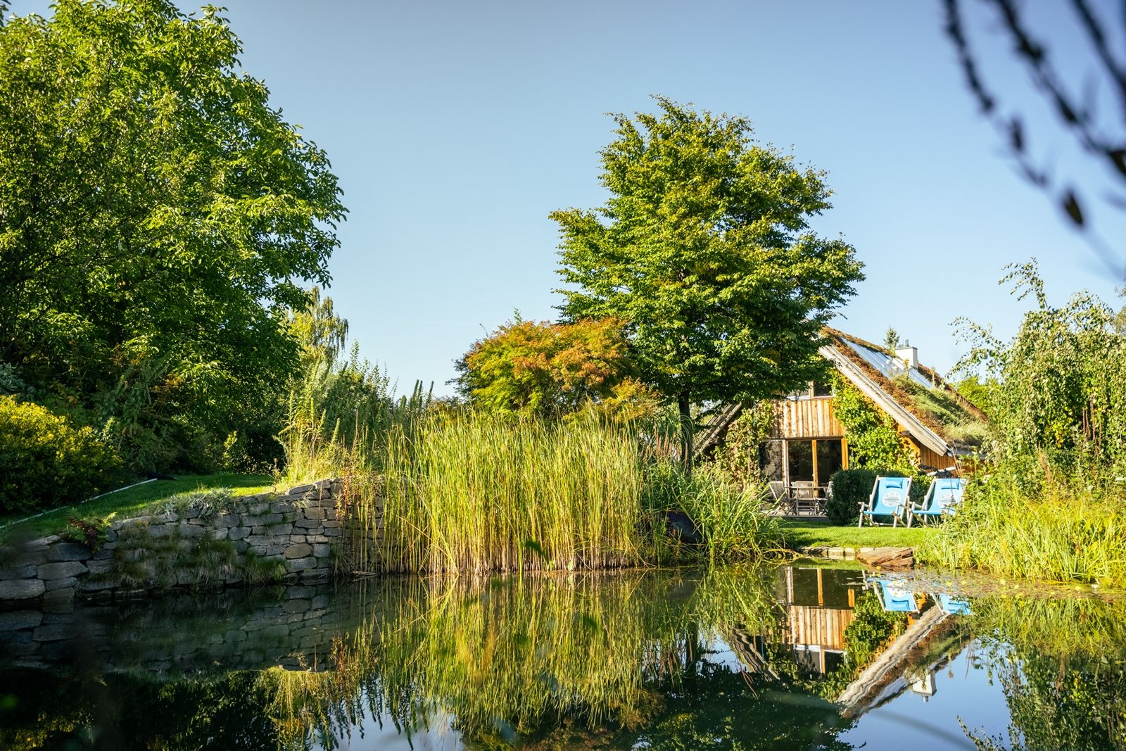 Ein Ferienhaus mit Holzfassade und begrüntem Dach, umgeben von Bäumen und einem Teich mit Schilf, unter blauem Himmel.