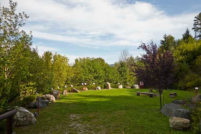 Grüne Wiese mit Bäumen und Steinen im Geopark Aspang.