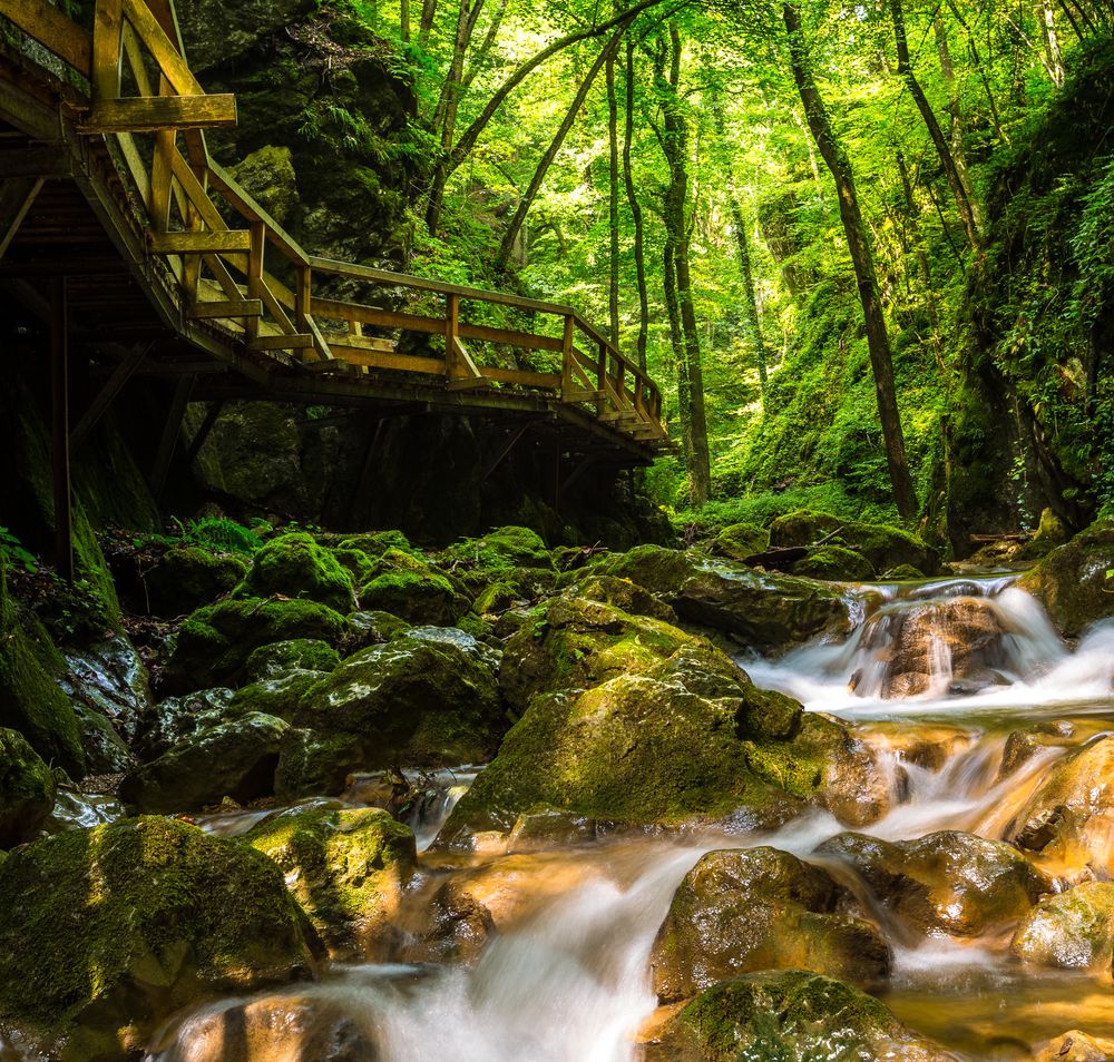 Klamm mit Wasser in der Johannesbachklamm