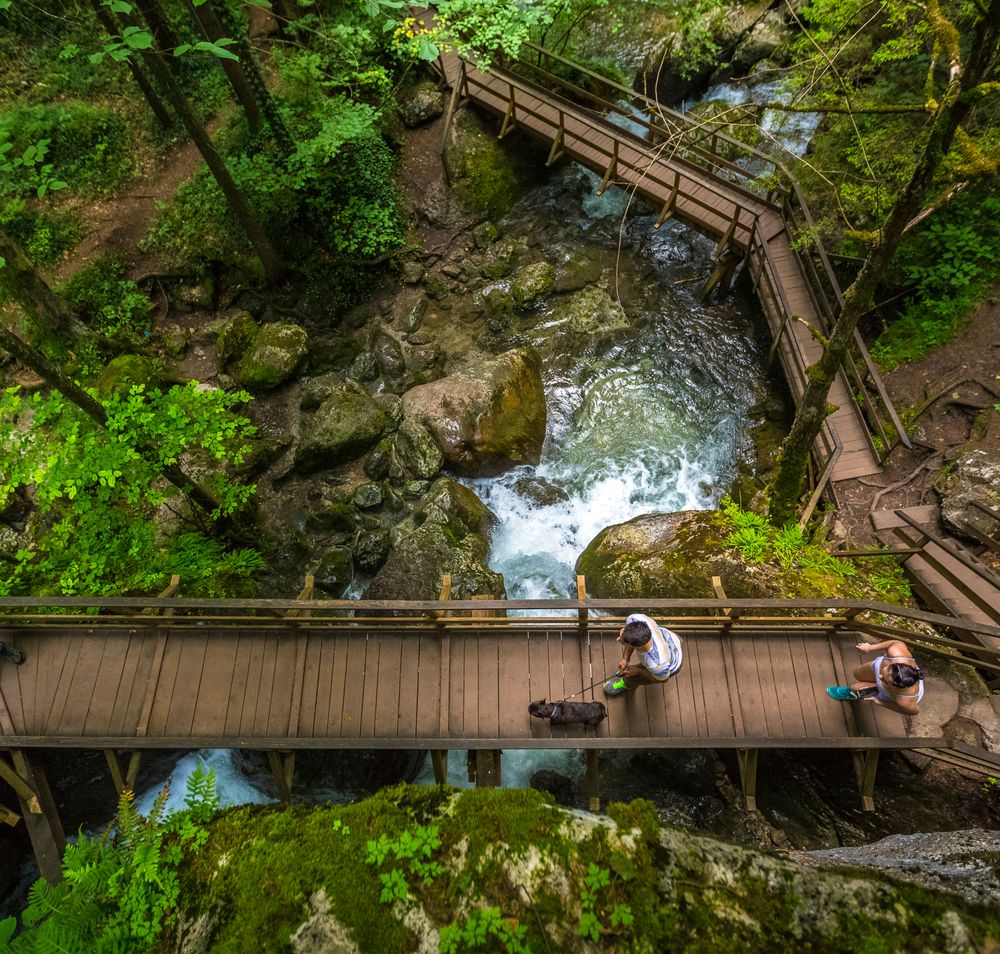 Stege bei den Myrafällen Muggendorf aus der Vogelperspektive