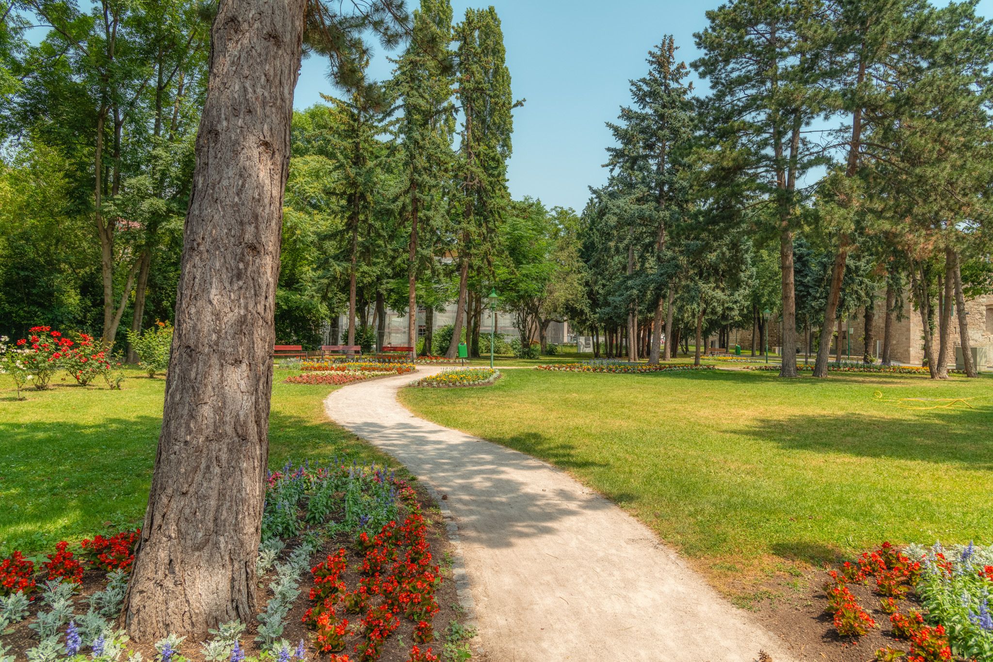 Weg durch den Stadtpark an einem sonnigen Tag 