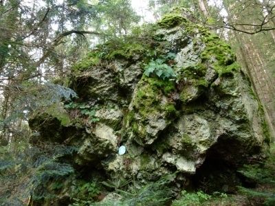 R1_Hiking in Hollenthon _Round Spratzeck - Gleichenbach - Obereck-Hollenthon