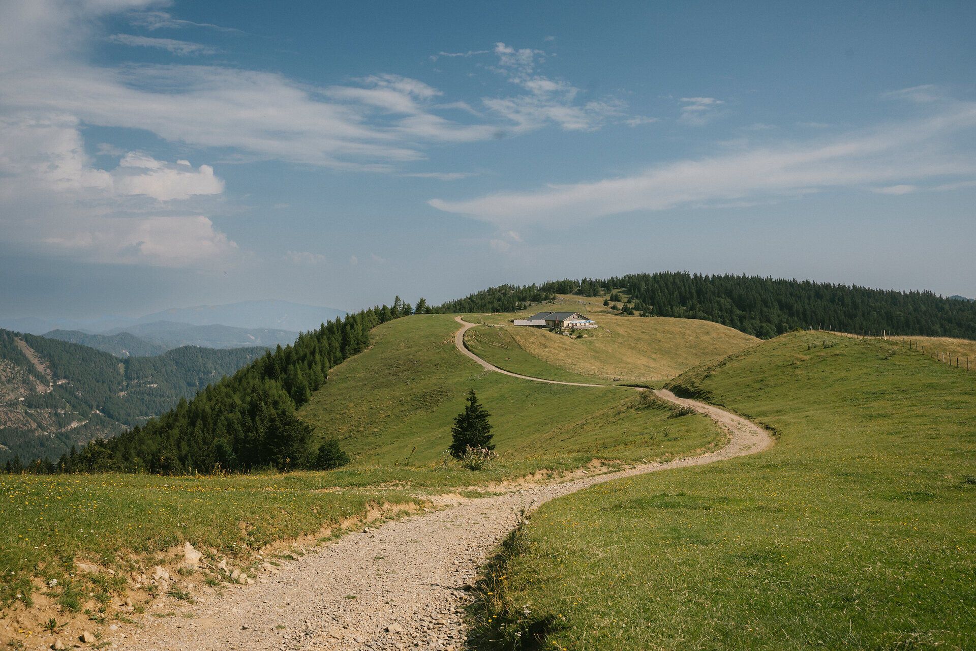 Hiking trail through the alpine meadows with a view of the Almreserlhaus on Schneeberg