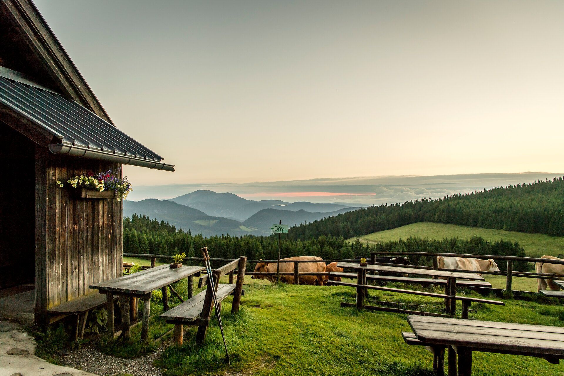 Die sanften Hügel und die majestätischen Berge umarmen die Landschaft, während die Kühe friedlich auf der saftigen Wiese grasen. Ein atemberaubender Sonnenaufgang taucht die Szenerie in warmes Licht und lädt zu unvergesslichen Wanderungen ein.
