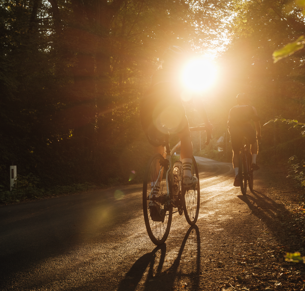 Die warmen Strahlen der Abendsonne tauchen die sanften Hügel in ein goldenes Licht, während Radfahrer die ruhige Straße entlang gleiten. Umgeben von üppigem Grün und dem sanften Rauschen der Blätter, vermittelt die Szenerie ein Gefühl von Freiheit und Abenteuer in der Natur.